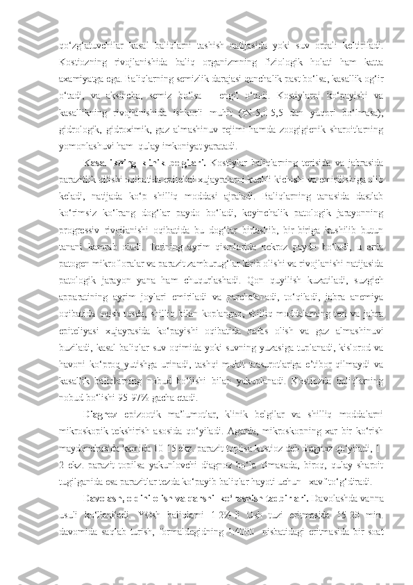 qo‘zg‘atuvchilar   kasal   baliqlarni   tashish   natijasida   yoki   suv   orqali   keltiriladi.
Kostiozning   rivojlanishida   baliq   organizmning   fiziologik   holati   ham   katta
axamiyatga ega. Baliqlarning semizlik darajasi qanchalik past bo‘lsa, kasallik og‘ir
o‘tadi,   va   aksincha,   semiz   bo‘lsa   –   engil   o‘tadi.   Kostiylarni   ko‘payishi   va
kasallikning   rivojlanishida   ishkorli   muhit   (rN-5,0-5,5   dan   yuqori   bo‘lmasa),
gidrologik,   gidroximik,   gaz   almashinuv   rejimi   hamda   zoogigienik   sharoitlarning
yomonlashuvi ham  qulay imkoniyat yaratadi.
Kasallikning   klinik   belgilari.   Kostiylar   baliqlarning   terisida   va   jabrasida
parazitlik qilishi oqibatida epitelial xujayralarni kuchli kichishi va emirilishiga olib
keladi,   natijada   ko‘p   shilliq   moddasi   ajraladi.   Baliqlarning   tanasida   dastlab
ko‘rimsiz   ko‘lrang   dog‘lar   paydo   bo‘ladi,   keyinchalik   patologik   jarayonning
progressiv   rivojlanishi   oqibatida   bu   dog‘lar   birlashib,   bir-biriga   kushilib   butun
tanani   kamrab   oladi.   Terining   ayrim   qismlarida   nekroz   paydo   bo‘ladi,   u   erda
patogen mikrofloralar va parazit zamburug‘lar kirib olishi va rivojlanishi natijasida
patologik   jarayon   yana   ham   chuqurlashadi.   Qon   q u yilish   kuzatiladi,   s uzg ich
apparatining   ayrim   joylari   emiriladi   va   parchalanadi,   to‘qiladi,   jabra   anemiya
oqibatida   oqish   tusda,   shilliq   bilan   koplangan,   shilliq   moddalarning   teri   va   jabra
epiteliyasi   xujayrasida   k o‘p ayishi   oqibatida   nafas   olish   va   gaz   almashinuvi
buziladi, kasal  baliqlar  suv  oqimida yoki  suvning yuzasiga  tuplanadi, kislorod va
havoni   ko‘proq   yutishga   urinadi,   tashqi   muhit   taasurotlariga   e’tibor   qilmaydi   va
kasallik   baliqlarning   nobud   bo‘lishi   bilan   yakunlanadi.   Kostiozda   baliqlarning
nobud bo‘lishi 95-97%-gacha etadi.
Diagnoz   epizootik   ma’lumotlar,   klinik   belgilar   va   shilliq   moddalarni
mikroskopik   tekshirish   asosida   qo‘yiladi.   Agarda,   mikroskopning   xar   bir   ko‘rish
maydonchasida kamida 10-15 ekz. parazit topilsa kostioz deb diagnoz qo‘yiladi, 1-
2   ekz.   parazit   topilsa   yakunlovchi   diagnoz   bo‘la   olmasada,   biroq,   qulay   sharoit
tugilganida esa parazitlar tezda ko‘payib baliqlar hayoti uchun   xavf to‘g‘diradi.
Davolash, oldini olish va qarshi  ko‘rashish tadbirlari.  Davolashda vanna
usuli   ko‘llaniladi.   YOsh   baliqlarni   1-2%-li   Osh   tuzi   eritmasida   15-20   min.
d avomida   saqlab   turish,   formaldegidning   1:4000     nisbatidagi   eritmasida   bir   soat 