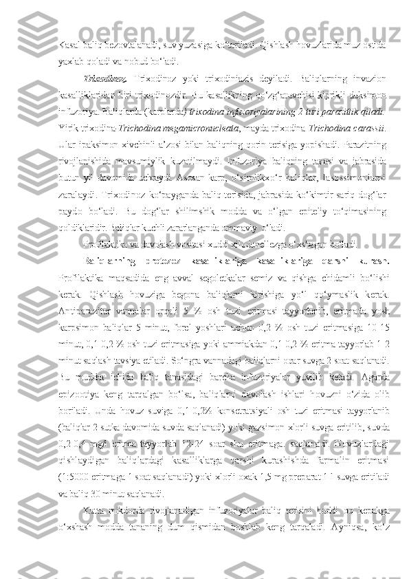 Kasal baliq bezovtalanadi, suv yuzasiga ko‘tariladi. Qishlash hovuzlarida muz ostida
yaxlab qoladi va  nobud bo‘ladi.
Trixodinoz.   Trixodinoz   yoki   trixodiniazis   deyiladi.   Baliqlarning   invazion
kasalliklaridan  biri   trixodinozdir.   Bu kasallikning   qo‘zg‘atuvchisi  kiprikli duksimon
infuzoriya.  Baliqlarda (karplarda ) trixodina infuzoriyalarining 2 turi parazitlik qiladi.
Yirik trixodina -Trichodina megamicronucleata , mayda trixodina- Trichodina  carassii .
Ular   ipaksimon xivchinli  a’zosi  bilan baliqning qorin terisiga yopishadi. Parazitning
rivojlanishida   mavsumiylik   kuzatilmaydi.   Infuzoriya   baliqning   tanasi   va   jabrasida
butun   yil   davomida   uchraydi.   Asosan   karp,   o‘simlikxo‘r   baliqlar,   lasossimonlarni
zaralaydi. Trixodinoz   ko‘payganda baliq terisida, jabrasida ko‘kimtir sariq dog‘lar
paydo   bo‘ladi.   Bu   dog‘lar   shilimshik   modda   va   o‘lgan   epiteliy   to‘qimasining
q oldiklaridir. Baliqlar kuchli zararlanganda ommaviy  o‘ladi.
Profilaktika va davolash vositasi xuddi xilodonellezga o‘xshagan  bo‘ladi.
Baliqlarning   protozo z   kasalliklariga   kasalliklariga   qarshi   kurash.
Profilaktika   maqsadida   eng   avval   segoletkalar   semiz   va   qishga   chidamli   bo‘lishi
kerak.   Qishlash   hovuziga   begona   baliqlarni   kirishiga   yo‘l   qo‘ymaslik   kerak.
Antiparazitar   vannalar   orqali   5   %   osh   tuzi   eritmasi   tayyorlanib,   eritmada   yosh
karpsimon   baliqlar   5   minut,   forel   yoshlari   uchun   0,2   %   osh   tuzi   eritmasiga   10-15
minut, 0,1-0,2 % osh tuzi   eritmasiga yoki ammiakdan 0,1-0,2 % eritma tayyorlab 1-2
minut saqlash  tavsiya etiladi. So‘ngra vannadagi baliqlarni oqar suvga 2 soat saqlanadi.
Bu   muddat   ichida   baliq   tanasidagi   barcha   infuzoriyalar   yuvilib   ketadi.   Agarda
epizootiya   keng   tarqalgan   bo‘lsa,   baliqlarni   davolash   ishlari   h ovuzni   o‘zida   olib
boriladi.   Unda   hovuz   suviga   0,1-0,2%   konsetratsiyali   osh   tuzi   eritmasi   tayyorlanib
(baliqlar 2 sutka davomida suvda saqlanadi)   yoki gazsimon xlorli suvga eritilib, suvda
0,2-0,4   mg/l   eritma   tayyorlab   12-24   soat   shu   eritmaga.   saqlanadi.   Hovuzlardagi
qishlaydigan   baliqlardagi   kasalliklarga   qarshi   kurashishda   farmalin   eritmasi
(1:5000 eritmaga 1 soat saqlanadi) yoki xlorli oxak 1,5 mg preparat 1 l  suvga eritiladi
va baliq 30 minut saqlanadi. 
Katta   mikdorda   rivojlanadigan   infuzoriyalar   baliq   terisini   huddi   oq   kepakga
o‘xshash   modda   tananing   dum   qismidan   boshlab   keng   tarqaladi.   Ayniqsa,   ko‘z 