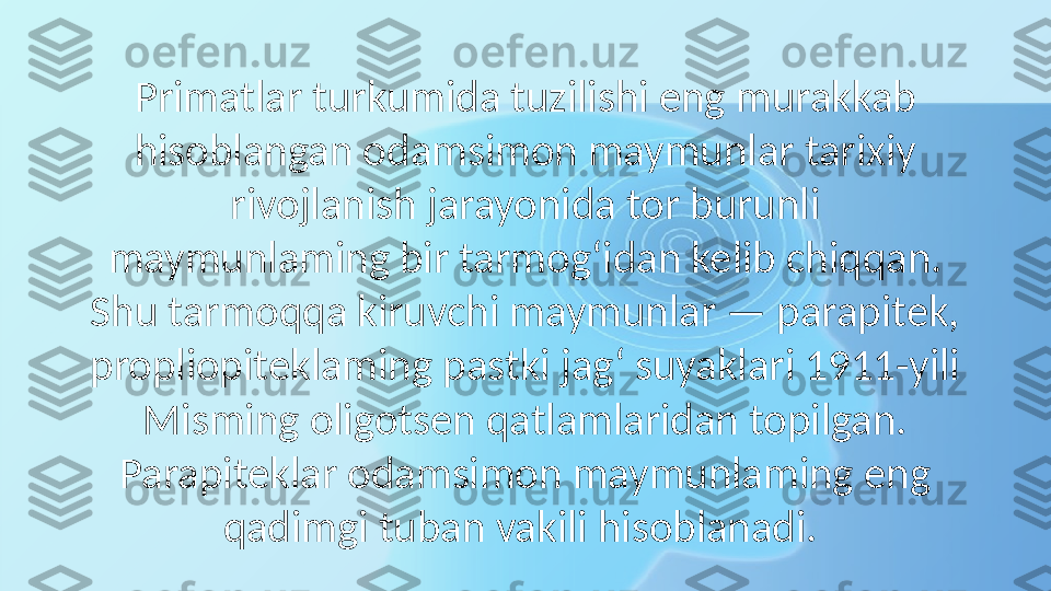 Primatlar turkumida tuzilishi eng murakkab 
hisoblangan odamsimon maymunlar tarixiy 
rivojlanish jarayonida tor burunli 
maymunlaming bir tarmog‘idan kelib chiqqan. 
Shu tarmoqqa kiruvchi maymunlar — parapitek, 
propliopiteklaming pastki jag‘ suyaklari 1911-yili 
Misming oligotsen qatlamlaridan topilgan. 
Parapiteklar odamsimon maymunlaming eng 
qadimgi tuban vakili hisoblanadi.  