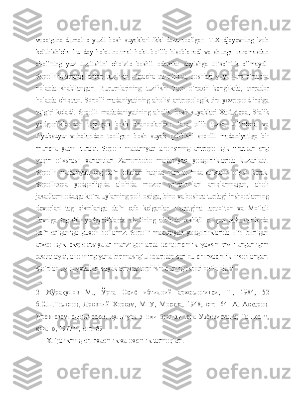 vaqatgina  dumaloq yuzli   bosh  suyaklari  ikki   dona topilgan.  T.Xodjayevning  izoh
keltirishicha  bunday holat  normal  holat  bo`lib hisoblanadi  va shunga  qaramasdan
aholining   yuz   tuzilishini   cho`ziq   boshli   odamlar   deyishga   to`sqinlik   qilmaydi.
Sopolliliklarning   lablari   tuzilishi   o`rtacha   qalinlikda,   qoshlari   yoyi   ham   o`rtacha
holatda   shakllangan.   Bururnlarining   tuzilishi   ham   o`rtach   kenglikda,   qirrador
holatda chiqqan. Sopolli madaniyatining aholisi antropologik tipi yevropoid irqiga
to`g`ri   keladi.   Sopolli   madadaniyatining   aholisi   bosh   suyaklari   Xafuztepa,   Sialik
yodgorliklaridan   topilgan   bosh   chanoqlaridan   farq   qilib   tursa,   Oltintepa   va
Gyuksuyur   vohalaridan   topilgan   bosh   suyak   qoldilari   sopolli   madaniyatiga   bir
muncha   yaqin   turadi.   Sopolli   madaniyati   aholisining   antropologik   jihatdan   eng
yaqin   o`xshash   variantlari   Zamonbobo   madaniyati   yodgorliklarida   kuzatiladi.
Sopolli   madaniyatining   dafn   odatlari   haqida   ham   alohida   to`xtalib   o`tish   kerak.
Sopollitepa   yodgorligida   alohida   mozor   qo`rg`onlari   aniqlanmagan,   aholi
jasadlarni odatga ko`ra uylarning poli ostiga, bino va boshqa turdagi inshootlarning
devorlari   tag   qismlariga   dafn   etib   kelganlar.   Faqatgina   Jarqo`ton   va   Mo`lali
davriga   tegishli   yodgorliklarda   aholining   alohida   tashkil   etilgan   qabristonlarda
dafn   etilganiga   guvoh   bo`lamiz.   Sopolli   madaniyati   yodgorliklarida   olib   borilgan
arxeologik   ekspeditsiyalar   manzilgohlarda   dehqonchilik   yaxshi   rivojlanganligini
tasdiqlaydi, aholining yana bir mashg`ulotlaridan biri bu chorvachilik hisoblangan.
Ko`plab uy hayvonlari suyaklarining topilishi buning isboti bo`la oladi
_______________________
2   Жўрақулов   М.,   Ўрта   Осиё   ибтидоий   археологияси,   Т.,   1984,   52
б.С.П.Толстов,   Древний   Хорезм,   МГУ,   Москва,   1948,   стр.   64.   А.   Аскаров.
Древнеземледельческая   культура   эпохи   бронзы   юга   Узбекистана,   Ташкент,
«Фан», 1977 г., стр. 69
       Xo`jalikning chorvachilik va ovchilik tarmoqlari. 