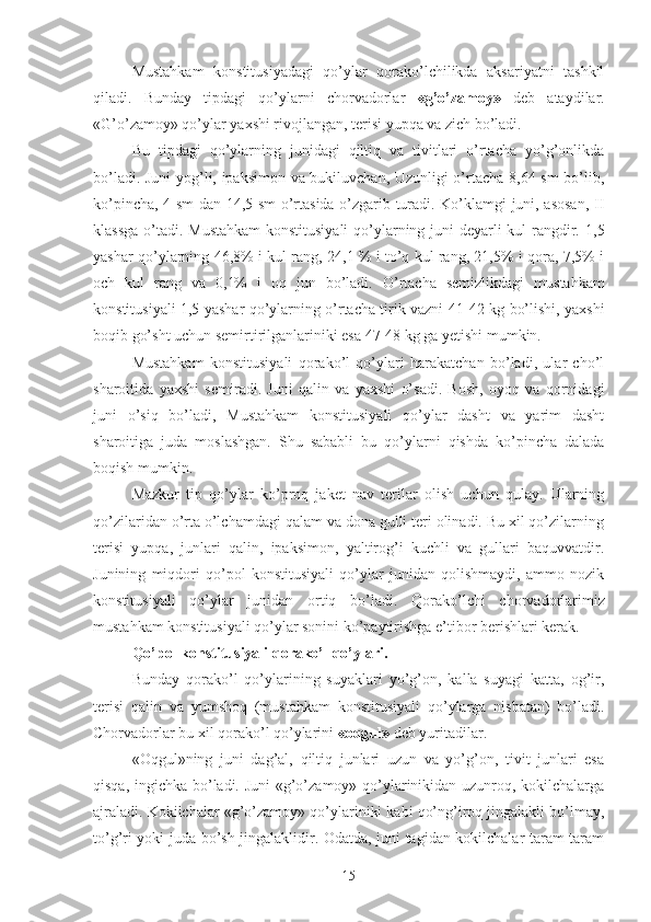 Mustahkam   konstitusiyadagi   qo’ylar   qorako’lchilikda   aksariyatni   tashkil
qiladi.   Bunday   tipdagi   qo’ylarni   chorvadorlar   «g’o’zamoy»   deb   ataydilar.
«G’o’zamoy» qo’ylar yaxshi rivojlangan, terisi yupqa va zich bo’ladi.   
Bu   tipdagi   qo’ylarning   junidagi   qiltiq   va   tivitlari   o’rtacha   yo’g’onlikda
bo’ladi. Juni  yog’li, ipaksimon va bukiluvchan, Uzunligi o’rtacha 8,64 sm bo’lib,
ko’pincha, 4 sm dan 14,5 sm o’rtasida o’zgarib turadi. Ko’klamgi juni, asosan, II
klassga  o’tadi. Mustahkam  konstitusiyali  qo’ylarning juni  deyarli  kul  rangdir.   1,5
yashar qo’ylarning 46,8% i kul rang, 24,1 % i to’q kul rang, 21,5% i qora, 7,5% i
och   kul   rang   va   0,1%   i   oq   jun   bo’ladi.   O’ rtacha   semizlikdagi   mustahkam
konstitusiyali 1,5 yashar qo’ylarning o’rtacha tirik vazni 41 - 42 kg bo’lishi, yaxshi
boqib go’sht uchun semirtirilganlariniki esa 47 - 48 kg ga yetishi mumkin.
Mustahkam   konstitusiyali   qorako’l   qo’ylari   harakatchan   bo’ladi,   ular   cho’l
sharoitida   yaxshi   semiradi.   Juni   qalin   va   yaxshi   o’sadi.   Bosh,   oyoq   va   qornidagi
juni   o’siq   bo’ladi,   Mustahkam   konstitusiyali   qo’ylar   dasht   va   yarim   dasht
sharoitiga   juda   moslashgan.   Shu   sababli   bu   qo’ylarni   qishda   ko’pincha   dalada
boqish mumki n .
Mazkur   tip   qo’ylar   ko’proq   jaket   nav   terilar   olish   uchun   qulay.   Ularning
qo’zilaridan o’rta o’lchamdagi qalam va dona gulli teri olinadi. Bu xil qo’zilarning
terisi   yupqa,   junlari   qalin,   ipaksimon,   yaltirog’i   kuchli   va   gullari   baquvvatdir.
Junining   miqdori   qo’pol   konstitusiyali   qo’ylar   junidan   qolishmaydi,   ammo   nozik
konstitusiyali   qo’ylar   junidan   ortiq   bo’ladi.   Qorako’lchi   chorvadorlarimiz
mustahkam konstitusiyali qo’ylar sonini ko’paytirishga e’tibor berishlari kerak.
Qo’pol konstitusiyali qorako’l qo’ylari.
Bunday   qorako’l   qo’ylarining   suyaklari   yo’g’on,   kalla   suyagi   katta,   og’ir,
terisi   qalin   va   yumshoq   (mustahkam   konstitusiyali   qo’ylarga   nisbatan)   bo’ladi.
Chorvadorlar bu xil qorako’l qo’ylarini  «oqgul»  deb yuritadilar.
«Oqgul»ning   juni   dag’al,   qiltiq   junlari   uzun   va   yo’g’on,   tivit   junlari   esa
qisqa, ingichka bo’ladi. Juni «g’o’zamoy» qo’ylarinikidan uzunroq, kokilchalarga
ajraladi. Kokilchalar «g’o’zamoy» qo’ylariniki kabi qo’ng’iroq jingalakli bo’lmay,
to’g’ri yoki juda bo’sh jingalaklidir. Odatda, juni tagidan kokilchalar taram-taram
15 