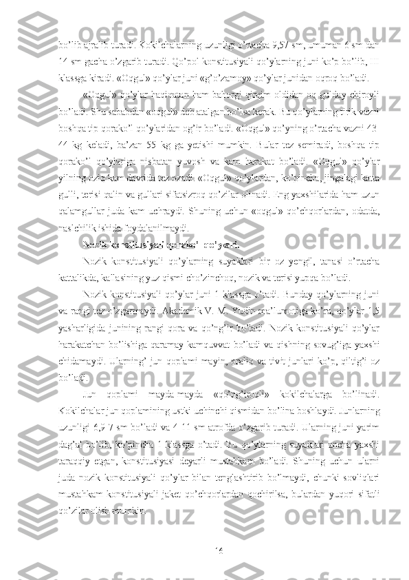 bo’lib ajralib turadi. Kokilchalarning uzunligi o’rtacha 9,57 sm, umuman 6 sm dan
14 sm gacha o’zgarib turadi. Qo’pol konstitusiyali qo’ylarning juni ko’p bo’lib, III
klassga kiradi. «Oqgul» qo’ylar juni «g’o’zamoy» qo’ylar junidan oqroq bo’ladi.
«Oqgul»   qo’ylar   haqiqatan   ham   bahorgi   qirqim   oldidan   oq   gulday   chiroyli
bo’ladi. Shu sababdan «oqgul» deb atalgan bo’lsa kerak. Bu qo’ylarning tirik vazni
boshqa tip qorako’l qo’ylaridan og’ir bo’ladi. «Oqgul» qo’yning o’rtacha vazni 43 -
44   kg   keladi,   ba’zan   55   kg   ga   yetishi   mumkin.   Bular   tez   semiradi,   boshqa   tip
qorako’l   qo’ylariga   nisbatan   yuvosh   va   kam   harakat   bo’ladi.   «Oqgul»   qo’ylar
yilning oziq kam davrida tez ozadi. «Oqgul» qo’ylardan, ko’pincha, jingalagi katta
gulli, terisi qalin va gullari sifatsizroq qo’zilar olinadi. Eng yaxshilarida ham uzun
qalamgullar   juda   kam   uchraydi.   Shuning   uchun   «oqgul»   qo’chqorlardan,   odatda,
naslchilik ishida foydalanilmaydi.
Nozik konstitusiyali qorako’l qo’ylari.
Nozik   konstitusiyali   qo’ylarning   suyaklari   bir   oz   yengil,   tanasi   o’rtacha
kattalikda, kallasining yuz qismi cho’zinchoq, nozik va terisi yupqa bo’ladi. 
Nozik  konstitusiyali   qo’ylar   juni   1  klassga   o’tadi.   Bunday  qo’ylarning  juni
va rangi tez o’zgarmaydi. Akademik V. M. Yudin ma’lumotiga ko’ra, qo’ylar 1,5
yasharligida   junining   rangi   qora   va   qo’ng’ir   bo’ladi.   Nozik   konstitusiyali   qo’ylar
harakatchan   bo’l i shiga   qaramay   kamquvvat   bo’ladi   va   qishning   sovug’iga   yaxshi
chidamayd i .   Ularning’   jun   qoplami   mayin,   oraliq   va   tiv i t   junlari   ko’p,   qiltig’i   oz
bo’ladi.
Jun   qoplami   mayda-mayda   «qo’ng’iroqli»   kokilchalarga   bo’linadi.
Kokilchalar jun qoplamining ustki-uchinchi qismidan bo’lina boshlaydi. Junlarning
uzunligi 6,9-7 sm bo’ladi va 4-11 sm atrofda o’zgarib turadi. Ularning juni yarim
dag’al   bo’lib,   ko’pincha   1   klassga   o’tadi.   Bu   qo’ylarning   suyaklari   ancha   yaxshi
taraqqiy   etgan,   konstitusiyasi   deyarli   mustahkam   bo’ladi.   Shuning   uchun   ularni
juda   nozik   konstitusiyali   qo’ylar   bilan   tenglashtirib   bo’lmaydi,   chunki   sovliqlari
mustahkam   konstitusiyali   jaket   qo’chqorlardan   qochirilsa,   bulardan   yuqori   sifatli
qo’zilar olish mumkin.
16 