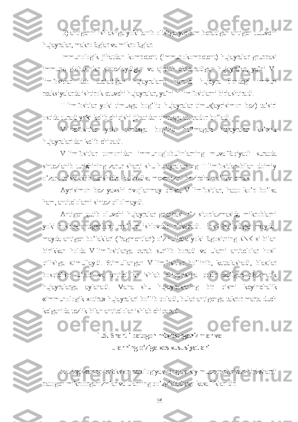  2) antigenni ishlashga yoki tanib olishga yordam beradigan antigen tutuvchi
hujayralar, makrofaglar va mikrofaglar.
Immunologik   jihatdan   kompetent   (immunokompetent)   hujayralar   gruppasi
immuno   globulinlar   sintezlaydigan   va   ajratib   chiqaradigan   hujayralar,   ya’ni   V-
limfositlar   deb   ataladigan   hujayralarni   hamda   hujayra   tipidagi   immun
reaksiyalarda ishtirok etuvchi hujayralar, ya’ni T-limfositlarni birlashtiradi.
T-limfositlar   yoki   timusga   bog’liq   hujayralar   timus(ayrisimon   bez)   ta’siri
ostida turadi yoki kelib chiqishi jihatidan timusga aloqador bo’ladi.
V-limfositlar   yoki   timusga   bog’liq   bo’lmagan   hujayralar   ko’mik
hujayralaridan kelib chiqadi.
V-limfositlar   tomonidan   immunoglobulinlarning   muvaffaqiyatli   suratda
sintezlanib   turishining   zarur   sharti   shu   hujayralarning   T-limfositlar   bilan   doimiy
o’zaro ta’sir qilib turishidir. Bu hodisa mexanizmi hozircha ma’lum emas.
Ayrisimon   bez   yaxshi   rivojlanmay   qolsa,   V-limfositlar,   hatto   ko’p   bo’lsa
ham, antitelolarni sintez qilolmaydi.
Antigen   tutib   oluvchi   hujayralar   gruppasi   o’z   sitoplazmasida   mikroblarni
yoki   boshqa   antigenlarni   ma’lum   ishlovdan   o’tkazadi.   Hosil   bo’ladigan   mayda-
mayda antigen bo’laklari (fragmentlari) o’z holicha yoki fagositning RNK si bilan
birikkan   holda   V-limfositlarga   qarab   surilib   boradi   va   ularni   antitelolar   hosil
qilishga   stimullaydi.   Stimullangan   V-limfositlar   bo’linib,   kattalashadi,   blastlar
bosqichini   o’tadi   va   antitelolar   ishlab   chiqarishga   qodir   bo’lgan   plazmatik
hujayralarga   aylanadi.   Mana   shu   hujayralarning   bir   qismi   keyinchalik
«immunologik xotira» hujayralari bo’lib qoladi, bular antigenga takror marta duch
kelganida tezlik bilan antitelolar ishlab chiqaradi.
1.5. Shartli patogen mikroorganizmlar va
 ularning o’ziga xos xususiyatlari
Hozirgi zamon infeksion patologiyasining asosiy muammolaridan biri shartli
patogen mikroorganizmlar va ularning qo’zg’atadigan kasalliklaridir.
36 