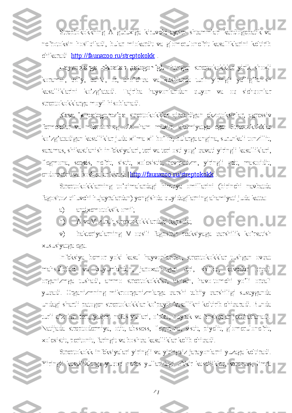 Streptokokkning   A   guruxiga   kiruvchi   ayrim   shtammlari   kardiogepatik   va
nefrotoksin   hosilqiladi,   bular   miokardit   va   glomerulonefrit   kasalliklarini   keltirib
chikaradi [ http://faunazoo.ru/streptokokk ].
Hayvonlarga   nisbatan   patogenligi.   Patogen   streptokokklar   yirik   shoxli
koramol,   qo’y,   echki,   ot,   cho’chqa   va   kushlarda   turli   yiringli   yallig’lanish
kasalliklarini   ko’zg’atadi.   Tajriba   hayvonlaridan   quyon   va   oq   sichqonlar
streptokokklarga moyil hisoblanadi.
Kasallik   patogenezida   streptokokklar   ajratadigan   ekzotoksinlar,   agressiv
fermentlar   va   mikrobnnng   o’zi   ham   muxim   ahamiyatga   ega.   Streptokokklar
ko’zg’atadigan kasalliklar juda xilma-xil bo’lib, bularga angina, surunkali tonzillit,
saramas, shikastlanish infeksiyalari, teri va teri osti yog’ qavati yiringli kasalliklari,
flegmona,   sepsis,   nefrit,   sistit,   xolesistit,   revmatizm,   yiringli   otit,   mastoidit,
endometrit va boshqalar kiradi [ http://faunazoo.ru/streptokokk ].
Streptokokklarning   to’qimalardagi   himoya   omillarini   (birinchi   navbatda
fagositoz qiluvchi hujayralardan) yengishda quyidagilarning ahamiyati juda katta:
a) antixemotoksik omil;
b) A va V  g uru h  streptokokklardagi kapsula;
v) bakteriyalarning   M-oqsili   fagositar   reaksiyaga   q arshilik   k o’ rsatish
xususiyatga ega .
Infeksiya   bemor   yoki   kasal   hayvonlardan,   streptokokklar   tushgan   ovqat
mahsulotlari   va   buyumlardan,   jaroxatlangan   teri,   shilliq,   kavatlar   orqali
organizmga   tushadi,   ammo   streptokokklar,   asosan,   havo-tomchi   yo’li   orqali
yuqadi.   Organizmning   mikroorganizmlarga   qarshi   tabiiy   qarshiligi   susayganda
undagi shartli-patogen streptokokklar ko’payib kasallikni keltirib chiqaradi. Bunda
turli   a’zolar:   teri,   yuqori   nafas   yullari,   o’pka,   buyrak   va   boshqalar   jarohatlanadi.
Natijada   streptodermiya,   otit,   abssess,   flegmona,   sistit,   piyelit,   glomerulonefrit,
xolesistit, peritonit, faringit va boshqa kasalliklar kelib chiqadi.
Streptokokk infeksiyalari yiringli va yiringsiz jarayonlarni yuzaga keltiradi.
Yiringli   kasalliklarga   yu q ori   nafas   yullaridagi   o’ tkir   kasalliklar,   saramas,   limfa
47 