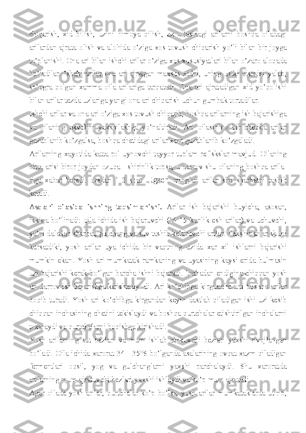 chiqarish,   xid   bilish,   uzini   himoya   qilish,   uz   oilasidagi   arilarni   boshqa   oiladagi
arilardan   ajrata   olish   va   alohida   o’ziga   xos   tovush   chiqarish   yo’li   bilan   bir   joyga
to’planishi. Ona ari bilan ishchi arilar o’ziga xos xususiyatlari bilan o’zaro aloqada
bo’ladilar.   Ishchi   arilar   ona   ari   ajratgan   maxsus   xidni,   uning   ustki   qismini   yalab,
so’ngra   qolgan   xamma   oila   arilariga   tarqatadi.   Ona   ari   ajratadigan   xid   yo’qolishi
bilan arilar tezda uzlariga yangi ona ari chiqarish uchun gumbak tortadilar.
Ishchi arilar va ona ari o’ziga xos tovush chiqarib, boshqa arilarning ish bajarishiga
va   oilaning   axvolini   yaxshilashga   yo’naltiradi.   Ari   oilasining   bir   chetida   arilar
gazablanib ko’zgalsa, boshqa chetidagi arilar xam gazablanib ko’zgaladi.
Arilarning   xayotida   katta   rol   uynovchi   tayyor   tuplam   reflskslar   mavjud.   Oilaning
bitta arisi biror joydan ozuqa - shirinlik topsa, u darrov shu oilaning boshqa arila -
riga   xabar   beradi.   oradan   1-2   soat   utgach   minglab   arilar   shu   sharbatni   tashib
ketadi.
Asalari   oilasida   ishning   taqsimlanishi.   Arilar   ish   bajarishi   buyicha,   asosan,
ikkiga bo’linadi:  oila ichida ish  bajaruvchi (14-15  kunlik esh  arilar)  va  uchuvchi,
ya’ni daladan sharbat, gulchang va suv tashib keltiruvchi arilar. Tekshirishlar shuni
kursatdiki,   yosh   arilar   uya   ichida   bir   vaqtning   uzida   xar   xil   ishlarni   bajarishi
mumkin   ekan.   Yosh   ari   mumkatak   ramkaning   va   uyasining   kaysi   erida   bulmasin
uzi bajarishi kerak bo’lgan barcha ishni bajaradi. Inchadan endigina chiqqan yosh
ari darrov ish bajarishga kirishmay- di. Ari ko’chibga kirguncha uni boshqa arilar
boqib  turadi.  Yosh  ari  ko’chibga  kirgandan keyin  dastlab qiladigan  ishi uzi  kesib
chiqqan inchasining chetini tekislaydi va boshqa qurtchalar etishtirilgan inchalarni
tozalaydi va qurtchalarni boqishga kirishadi.
Yosh   arilarning   sut   bezlari   va   mum   ishlab   chikuvchi   bezlari   yaxshi   rivojlangan
bo’ladi. Oila ichida xarorat 34—35°S bo’lganda asalarining ovqat xazm qiladigan
fermentlari   oqsil,   yog   va   gulchanglarni   yaxshi   parchalaydi.   Shu   xaroratda
arilarning mum ajratuvchi bezlari yaxshi ishlaydi va ko’p mum ajratadi.
Agar  oilada  yosh  arilar,  qurtchalar  ko’p  bo’lsa,  yosh  arilar  mumkataklarda  utirib, 