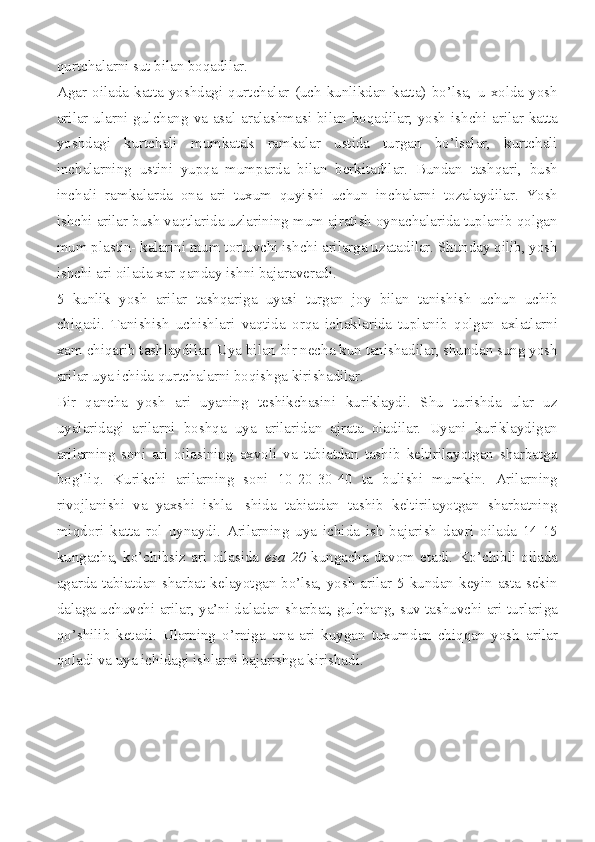 qurtchalarni sut bilan boqadilar.
Agar   oilada   katta   yoshdagi   qurtchalar   (uch   kunlikdan   katta)   bo’lsa,   u   xolda   yosh
arilar ularni gulchang va asal aralashmasi bilan boqadilar; yosh ishchi arilar katta
yoshdagi   kurtchali   mumkatak   ramkalar   ustida   turgan   bo’lsalar,   kurtchali
inchalarning   ustini   yupqa   mumparda   bilan   berkitadilar.   Bundan   tashqari,   bush
inchali   ramkalarda   ona   ari   tuxum   quyishi   uchun   inchalarni   tozalaydilar.   Yosh
ishchi arilar bush vaqtlarida uzlarining mum ajratish oynachalarida tuplanib qolgan
mum plastin- kalarini mum tortuvchi ishchi arilarga uzatadilar. Shunday qilib, yosh
ishchi ari oilada xar qanday ishni bajaraveradi.
5   kunlik   yosh   arilar   tashqariga   uyasi   turgan   joy   bilan   tanishish   uchun   uchib
chiqadi.   Tanishish   uchishlari   vaqtida   orqa   ichaklarida   tuplanib   qolgan   axlatlarni
xam chiqarib tashlaydilar. Uya bilan bir necha kun tanishadilar, shundan sung yosh
arilar uya ichida qurtchalarni boqishga kirishadilar.
Bir   qancha   yosh   ari   uyaning   teshikchasini   kuriklaydi.   Shu   turishda   ular   uz
uyalaridagi   arilarni   boshqa   uya   arilaridan   ajrata   oladilar.   Uyani   kuriklaydigan
arilarning   soni   ari   oilasining   axvoli   va   tabiatdan   tashib   keltirilayotgan   sharbatga
bog’liq.   Kurikchi   arilarning   soni   10-20-30-40   ta   bulishi   mumkin.   Arilarning
rivojlanishi   va   yaxshi   ishla-   shida   tabiatdan   tashib   keltirilayotgan   sharbatning
miqdori   katta   rol   uynaydi.   Arilarning   uya   ichida   ish   bajarish   davri   oilada   14-15
kungacha,   ko’chibsiz   ari   oilasida   esa   20   kungacha   davom   etadi.   Ko’chibli   oilada
agarda tabiatdan sharbat kelayotgan bo’lsa, yosh  arilar 5 kundan keyin asta-sekin
dalaga uchuvchi arilar, ya’ni daladan sharbat, gulchang, suv tashuvchi ari turlariga
qo’shilib   ketadi.   Ularning   o’rniga   ona   ari   kuygan   tuxumdan   chiqqan   yosh   arilar
qoladi va uya ichidagi ishlarni bajarishga kirishadi. 