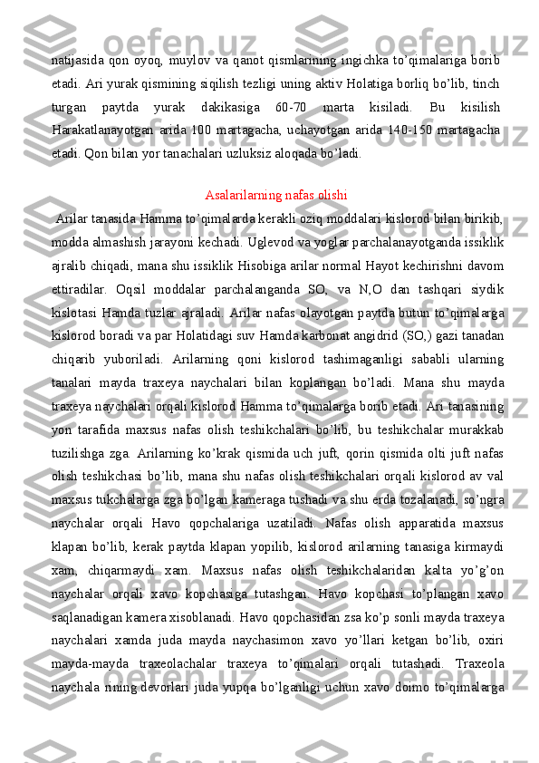 natijasida   qon   oyoq,   muylov   va   qanot   qismlarining   ingichka   to’qimalariga   borib
etadi. Ari yurak qismining siqilish tezligi uning aktiv Holatiga borliq bo’lib, tinch
turgan   paytda   yurak   dakikasiga   60-70   marta   kisiladi.   Bu   kisilish
Harakatlanayotgan   arida   100   martagacha,   uchayotgan   arida   140-150   martagacha
etadi. Qon bilan yor tanachalari uzluksiz aloqada bo’ladi.
                           
Asalarilarning nafas olishi
  Arilar tanasida Hamma to’qimalarda kerakli oziq moddalari kislorod bilan birikib,
modda almashish jarayoni kechadi. Uglevod va yoglar parchalanayotganda issiklik
ajralib chiqadi, mana shu issiklik Hisobiga arilar normal Hayot kechirishni davom
ettiradilar.   Oqsil   moddalar   parchalanganda   SO,   va   N,O   dan   tashqari   siydik
kislotasi Hamda tuzlar ajraladi. Arilar nafas olayotgan paytda butun to’qimalarga
kislorod boradi va par Holatidagi suv Hamda karbonat angidrid (SO,) gazi tanadan
chiqarib   yuboriladi.   Arilarning   qoni   kislorod   tashimaganligi   sababli   ularning
tanalari   mayda   traxeya   naychalari   bilan   koplangan   bo’ladi.   Mana   shu   mayda
traxeya naychalari orqali kislorod Hamma to’qimalarga borib etadi. Ari tanasining
yon   tarafida   maxsus   nafas   olish   teshikchalari   bo’lib,   bu   teshikchalar   murakkab
tuzilishga   zga.   Arilarning   ko’krak   qismida   uch   juft,   qorin   qismida   olti   juft   nafas
olish teshikchasi bo’lib, mana shu  nafas olish teshikchalari orqali kislorod av val
maxsus tukchalarga zga bo’lgan kameraga tushadi va shu erda tozalanadi, so’ngra
naychalar   orqali   Havo   qopchalariga   uzatiladi.   Nafas   olish   apparatida   maxsus
klapan   bo’lib,   kerak   paytda   klapan   yopilib,   kislorod   arilarning   tanasiga   kirmaydi
xam,   chiqarmaydi   xam.   Maxsus   nafas   olish   teshikchalaridan   kalta   yo’g’on
naychalar   orqali   xavo   kopchasiga   tutashgan.   Havo   kopchasi   to’plangan   xavo
saqlanadigan kamera xisoblanadi. Havo qopchasidan zsa ko’p sonli mayda traxeya
naychalari   xamda   juda   mayda   naychasimon   xavo   yo’llari   ketgan   bo’lib,   oxiri
mayda-mayda   traxeolachalar   traxeya   to’qimalari   orqali   tutashadi.   Traxeola
naychala   rining . devorlari   juda   yupqa   bo’lganligi   uchun   xavo   doimo   to’qimalarga 