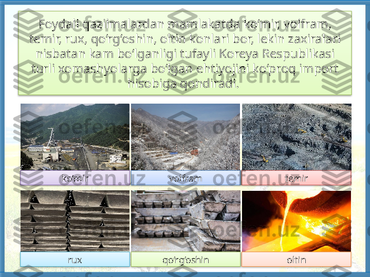 Foydali qazilmalardan mamlakatda ko‘mir, volfram, 
temir, rux, qo‘rg‘oshin, oltin konlari bor, lekin zaxiralari 
nisbatan kam bo‘lganligi tufayli Koreya Respubli kasi 
turli xomashyolarga bo‘lgan ehtiyojini ko‘proq import 
hisobiga qondiradi. 
temirvolframko‘mir
qo‘rg‘oshin oltinrux         