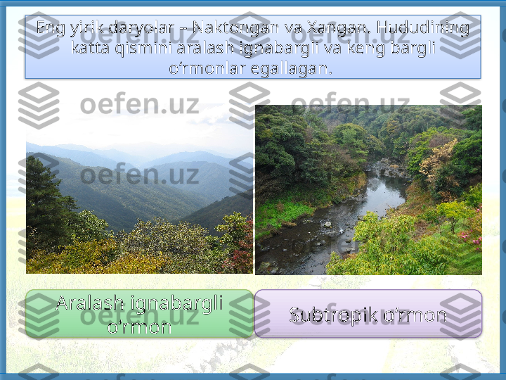 Eng yirik daryolar – Naktongan va Xangan. Hududining 
katta qismini ara lash ignabargli va keng bargli 
o‘rmonlar egallagan. 
Aralash ignabargli 
o‘rmon Subtropik o‘rmon     