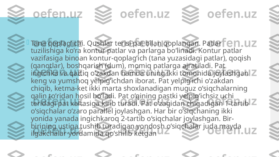 
Tana qoplag‘ichi. Qushlar terisi pat bilan qoplangan. Patlar 
tuzilishiga ko‘ra kontur patlar va parlarga bo‘linadi. Kontur patlar 
vazifasiga binoan kontur-qoplag‘ich (tana yuzasidagi patlar), qoqish 
(qanotlar), boshqarish (dum), momiq patlarga ajratiladi. Pat 
ingichka va qattiq o‘zakdan hamda uning ikki tomonida joylashgan 
keng va yumshoq yelpig‘ichdan iborat. Pat yelpig‘ichi o‘zakdan 
chiqib, ketma-ket ikki marta shoxlanadigan muguz o‘siqchalarning 
qalin to‘ridan hosil bo‘ladi. Pat o‘qining pastki yelpig‘ichsiz uchi 
teridagi pat xaltasiga kirib turadi. Pat o‘zagidan chiqadigan 1-tartib 
o‘siqchalar o‘zaro parallel joylashgan. Har bir o‘siqchaning ikki 
yonida yanada ingichkaroq 2-tartib o‘siqchalar joylashgan. Bir-
birining ustiga tushib turadigan yondosh o‘siqchalar juda mayda 
ilgakchalar yordamida qo‘shilib ketgan  