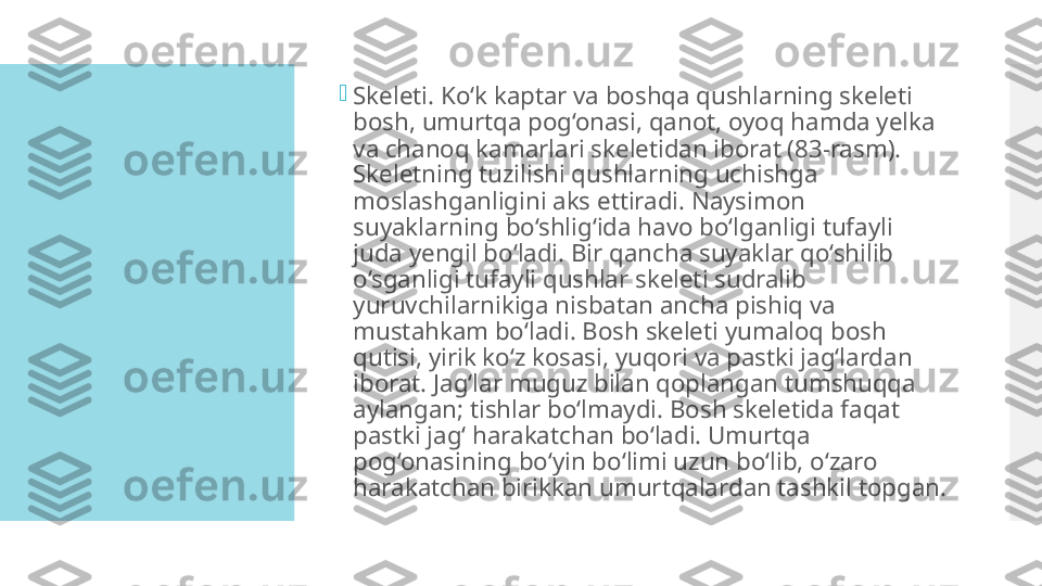 
Skeleti. Ko‘k kaptar va boshqa qushlarning skeleti 
bosh, umurtqa pog‘onasi, qanot, oyoq hamda yelka 
va chanoq kamarlari skeletidan iborat (83-rasm). 
Skeletning tuzilishi qushlarning uchishga 
moslashganligini aks ettiradi. Naysimon 
suyaklarning bo‘shlig‘ida havo bo‘lganligi tufayli 
juda yengil bo‘ladi. Bir qancha suyaklar qo‘shilib 
o‘sganligi tufayli qushlar skeleti sudralib 
yuruvchilarnikiga nisbatan ancha pishiq va 
mustahkam bo‘ladi. Bosh skeleti yumaloq bosh 
qutisi, yirik ko‘z kosasi, yuqori va pastki jag‘lardan 
iborat. Jag‘lar muguz bilan qoplangan tumshuqqa 
aylangan; tishlar bo‘lmaydi. Bosh skeletida faqat 
pastki jag‘ harakatchan bo‘ladi. Umurtqa 
pog‘onasining bo‘yin bo‘limi uzun bo‘lib, o‘zaro 
harakatchan birikkan umurtqalardan tashkil topgan.  