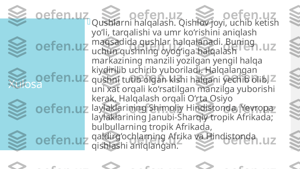 Xulosa  
Qushlarni halqalash. Qishlov joyi, uchib ketish 
yo‘li, tarqalishi va umr ko‘rishini aniqlash 
maqsadida qushlar halqalanadi. Buning 
uchun qushning oyog‘iga halqalash 
markazining manzili yozilgan yengil halqa 
kiydirilib uchirib yuboriladi. Halqalangan 
qushni tutib olgan kishi halqani yechib olib, 
uni xat orqali ko‘rsatilgan manzilga yuborishi 
kerak. Halqalash orqali O‘rta Osiyo 
laylaklarining Shimoliy Hindistonda, Yevropa 
laylaklarining Janubi-Sharqiy tropik Afrikada; 
bulbullarning tropik Afrikada, 
qaldirg‘ochlarning Afrika va Hindistonda 
qishlashi aniqlangan.  