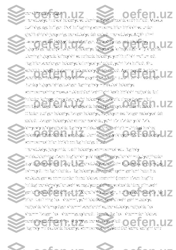 transformatsiya qilgan.
Transduksiya hodisasi bakteriya va ularning faglari o’rtasida sodir bo’ladi. Maxsus
tuzilishga ega bo’lgan DNK bo’lagining xromosoma bilan birikishi va undan 
ajralib chiqish jarayoniga transduksiya deb ataladi. Transduksiya AQSh olimi 
Lvov tomonidan 1953-yilda kashf etilgan. Bu kashfiyotga qadar bakteriya 
hujayrasiga faglar (viruslarning bakteriya hujayrasida ko’payadigan xili) kirganda 
ularning hujayrada ko’payishi va oqibatda bakteriya yorilib o’lishi ma’lum edi. 
Fag bilan zararlangan bakteriya koloniyasi yo’qoladi, ya’ni lizis bo’ladi. Shu 
sababli bu jarayon faglarning litik reaktsiyasi deb ataladi. Ayni paytda fag bilam 
zararlangan bakteriya hujayralarining ayrimlari ofatdan qutulib qolishi kuzatilgan. 
Bunday hujayra ichiga tushgan fagning irsiy molekulasi bakteriya 
xromosomasining maxsus nukleotidlari izchilligini kesib birikishi natijasida faol 
holatdan ko’paya olmaydigan, ya’ni bakteriyani lizis qila olmaydigan nofaol 
profag holatiga o’tadi. Buning natijasida bakteriya hujayrasi ofatdan qutiladi. 
Ofatdan qutilgan bakteriya lizogen bakteriya, bu jarayon esa lizogen reaksiyasi deb
ataladi. Lizogen bakteriyalar spontan ravishda, ya’ni o’z-o’zidan yoki fizik-
kimyoviy ta’sir natijasida fag irsiy molekulasi ajralib chiqib muhitdagi boshqa 
bakteriyani zararlantiradi va nihoyat ularni o’ldiradi yoki ayrim hollarda bakteriya 
xromosomasi bilan birikib profag holatiga o’tadi.
Transduksiya jarayonida E.coli bakteriya xromosomasi va  л  fag irsiy 
molekulalarining o’zaro bog‘lanishi yoki rekombinatsiyallanishi mokulyar jihatdan
quyidagicha kechadi. Lekin  л  fag transduksiyasi har doim bu darajada aniq amalga
oshmaydi. Profag holatida  л  fag bakteriya genomidan ayrim genlarni hatto 3 ta 
struktura gen va promotordan iborat laktoza operonini (operon o’zaro bog‘liq 
holdagi transkripsiyallanuvchi va regulyator element vositasida idora qilinuvchi 
genlar izchilligi) biriktirilgan holda ajralishi kuzatilgan, Bunday rekombinant  л  fag
bilan E.coli ning 1as - shtammi, ya’ni laktozani parchalovchi geni mutatsiya 
natijasida ishlamaydigan shtammi zararlantirilsa, transduktsiya natijasida 1as- 
shtamm lizogen 1as+ shtammga aylanadi. Demak, fag 1as+ shtammdan laktoza 
parchalovchi operonni 1as- shtammga transduksiya qiladi.
Fag irsiy molekulasida bakteriya xromosomasini nukleotidlar ketma-ketligini aniq  