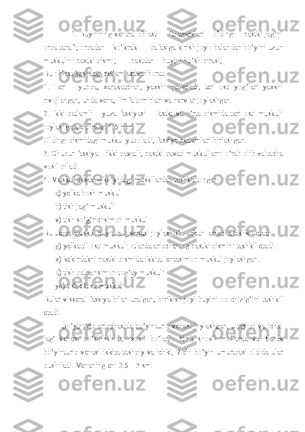                      1. Buyinning ventral oblasti -   Chegaralari – oldingi – pastki jag’ni
orqa tarafi; orqadan – ko’krak      qafasiga kirish joyi: balandan bo’yini uzun
muskulini pastki qismi;        pastdan – buyini bo’sh qirasi;  
Bu oblast kuyidagi qatlamlardan iborat:
1.   Teri   –   yupqa,   xarakatchan,   yaxshi   qatlanadi,   teri   osti   yog’lari   yaxshi
rivojlangan, unda vena, limfa tomirlari va nervlar joylashgan. 
2.   Ikki   qatlamli       yuza   fassiyasi   -   Pastki   va   o’rta   qismida   teri   osti   muskuli
joylashgan, qalinligi 4-5 mm.
Oldingi qismidagi muskul yuqoladi, fassiya qatlamlari birlashgan.
3. Chuqur fassiya – ikki qavatli, pastki qavati muskullarni o’rab olib xaltacha
xosil qiladi.
4. Muskul qavati – ko’yidagi muskllardan tashkil topgan: 
      a) yelka bosh muskul  
       b) tish jag’ muskuli 
      v) tish so’g’richsimon muskul 
Bu uchta muskul buyituruq venasi joylashishi uchun  arikcha tashkil etadi.
      g) yelka til osti muskuli otlarda ariqchaning pastki qismini tashkil etadi.
      x) kekirdakni pastki qismida ikkita lentasimon muskul joylashgan.
      d) tish qalqonsimon tog’ay muskuli 
      ye) tish tilosti muskuli 
Bular visseral fassiya bilan uralgan, birikish joyi buyini oq chizig’ini tashkil
etadi.
         Bo’yintiriq ariqchasida bo’yinturiq venasi joylashgan, u tashqi va ichki
jag’   venasi   qo’shilishidan   xosil   bo’ladi.   Yirik   shoxli   mollarda   va   itlarda
bo’yinturiq venasi ikkita tashqiy va ichki, 7 chi bo’yin umurtqasi oldida ular
qushiladi. Venaning eni 2.5 – 3 sm. 