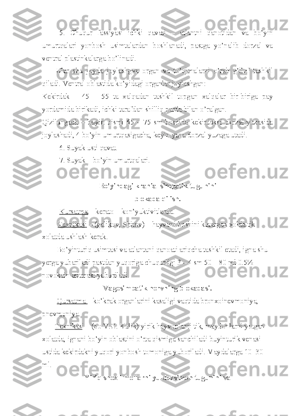 5.   Chuqur   fassiyasi   ichki   qavati   –   atlantni   qanotidan   va   bo’yin
umurtqalari   yonbosh   usimtalardan   boshlanadi,   pastga   yo’nalib   dorzal   va
ventral plastinkalarga bo’linadi.
Ular   shu   joyda   joylashgan   organ   va   to’qimalarni   o’rab   g’ilof   tashkil
qiladi. Ventral oblastida ko’yidagi organlar joylashgan:
Kekirdak   –   45   –   55   ta   xalqadan   tashkil   topgan   xalqalar   bir-biriga   pay
yordamida birikadi, ichki tarafdan shilliq parda bilan o’ralgan.
Qizilungach   –   buyin   qismi   65   –   75   sm   boshida   kekirdakni   dorzal   yuzasida
joylashadi, 4 bo’yin umurtqasigacha, keyin yana dorzal yuzaga utadi.
6. Suyak usti qavat.
7. Suyak – bo’yin umurtqalari.
Bo’yindagi kranial simpatik tugunini
blokada qilish.
Kursatma  – kerato – kon’yuktivitlarda.
  Texnikasi  – (gelikov, Shitov) – hayvoni boshini kutargan xolda tik 
xolatda ushlash kerak.
        Bo’yinturiq usimtasi va atlantani qanoati ariqcha tashkil etadi, igna shu 
yerga yubariladi pastdan yuqoriga chuqurligi 3 – 4 sm 50 – 80 ml 0.5% 
novokain eritmasi yuboriladi.
Vagosimpatik nervning blokadasi.
         Qursatma  – ko’krak organlarini kasaligi vaqtida bronxoinevmoniya, 
pnevmoniya.
        Texnikas i – (po V.G. Kulik) yirik hayvonlarni tik, maydonlarni yotgan 
xolatda, ignani bo’yin oblastini o’rta qismiga sanchiladi buyinturik venasi 
ustida kekirdakni yuqori yonbosh tomoniga yuboriladi. Maydalarga 10–30 
ml.
Yiriq shoxli mollarni yulduzsimon tugunini va 