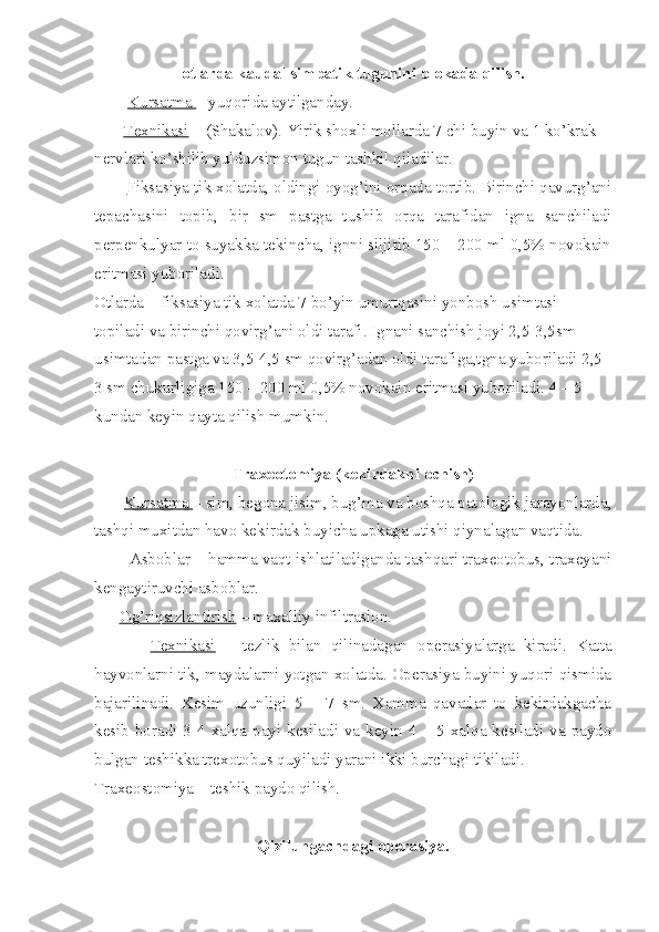 otlarda kaudal simpatik tugunini blokada qilish.
         Kursatma  – yuqorida aytilganday.
        Texnikasi  – (Shakalov). Yirik shoxli mollarda 7 chi buyin va 1 ko’krak 
nervlari ko’shilib yulduzsimon tugun tashkil qiladilar.
        Fiksasiya  tik xolatda, oldingi oyog’ini orqada tortib. Birinchi qavurg’ani
tepachasini   topib,   bir   sm   pastga   tushib   orqa   tarafidan   igna   sanchiladi
perpenkulyar to suyakka tekincha, ignni siljitib 150 – 200 ml 0,5% novokain
eritmasi yuboriladi.
Otlarda – fiksasiya tik xolatda 7 bo’yin umurtqasini yonbosh usimtasi 
topiladi va birinchi qovirg’ani oldi tarafi. Ignani sanchish joyi 2,5-3,5sm 
usimtadan pastga va 3,5-4,5 sm qovirg’adan oldi tarafiga,tgna yuboriladi 2,5-
3 sm chukurligiga 150 – 200 ml 0,5% novokain eritmasi yuboriladi. 4 – 5 
kundan keyin qayta qilish mumkin.
Traxeotomiya (kekirdakni ochish)
        Kursatma  – sim, begona jisim, bug’ma va boshqa patologik jarayonlarda,
tashqi muxitdan havo kekirdak buyicha upkaga utishi qiynalagan vaqtida.
          Asboblar  – hamma vaqt ishlatiladiganda tashqari traxeotobus, traxeyani
kengaytiruvchi asboblar.
       Og’riqsizlantirish  – maxalliy infiltrasion.
            Texnikasi   –   tezlik   bilan   qilinadagan   operasiyalarga   kiradi.   Katta
hayvonlarni tik, maydalarni yotgan xolatda. Operasiya buyini yuqori qismida
bajarilinadi.   Kesim   uzunligi   5   –   7   sm.   Xamma   qavatlar   to   kekirdakgacha
kesib boradi 3-4 xalqa payi kesiladi va keyin 4 – 5 xalqa kesiladi va paydo
bulgan teshikka trexotobus quyiladi yarani ikki burchagi tikiladi.
Traxeostomiya – teshik paydo qilish.
Qizilungachdagi operasiya. 