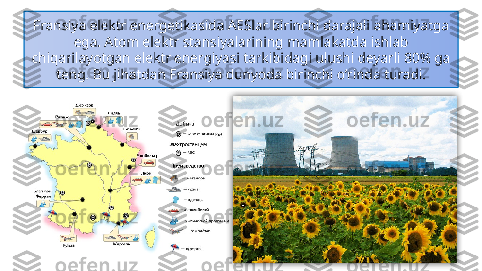 Fransiya elektr energetikasida AESlar birinchi darajali ahamiyatga 
ega. Atom elektr stansiyalarining mamlakatda ishlab 
chiqarilayotgan elektr energiyasi tarkibidagi ulushi deyarli 80% ga 
teng. Bu jihatdan  Fransiya dunyoda birinchi o‘rinda turadi.  