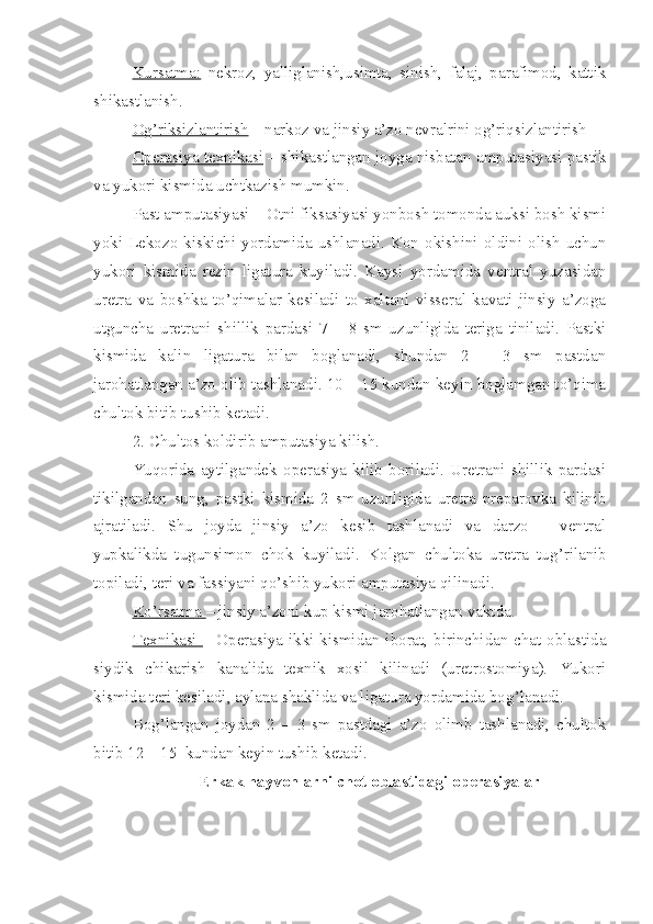 Kursatma:   nekroz,   yalliglanish,usimta,   sinish,   falaj,   parafimod,   kattik
shikastlanish.
O    g’    riksizlantirish     – narkoz va jinsiy a’zo nevralrini og’riqsizlantirish
Operasiya texnikasi  – shikastlangan joyga nisbatan amputasiyasi pastik
va yukori kismida uchtkazish mumkin.
Past amput as iyasi – Otni fiksasiyasi yonbosh tomonda auksi bosh kismi
yoki   Lekozo  kiskichi   yordamida   ushlanadi.  Kon  okishini  oldini   olish   uchun
yukori   kismida   rezin   ligatura   kuyiladi.   Kaysi   yordamida   ventral   yuzasidan
uretra   va   boshka   to’qimalar   kesiladi   to   xaltani   visseral   kavati   jinsiy   a’zoga
utguncha   uretrani   shillik   pardasi   7   –   8   sm   uzunligida   teriga   tiniladi.   Pastki
kismida   kalin   ligatura   bilan   boglanadi,   shundan   2   –   3   sm   pastdan
jarohatlangan a’zo olib tashlanadi. 10 – 15 kundan keyin boglamgan to’qima
chultok bitib tushib ketadi.
2. Chultos koldirib amputasiya kilish.
Yuqo rida   aytilgandek   operasiya   kilib   boriladi.   Uretrani   shillik   pardasi
tikilgandan   sung,   pastki   kismida   2   sm   uzunligida   uretra   preparovka   kilinib
ajratiladi.   Shu   joyda   jinsiy   a’zo   kesib   tashlanadi   va   darzo   –   ventral
yupkalikda   tugunsimon   chok   kuyiladi.   Kolgan   chultoka   uretra   tu g’r ilanib
topiladi ,  teri   va fas s iyani  qo’ shib yukori amputasiya  qilinadi.  
K    o’    rsatma     – jinsiy a’zoni kup kismi jarohatlangan vaktda .  
Texnikasi   – Operasiya ikki kismidan iborat, birinchidan chat oblastida
siydik   chikarish   kanalida   texnik   xosil   kilinadi   (uretrostomiya).   Yukori
kismida teri kesiladi, aylana shaklida va ligatura yordamida bo g’ lanadi.
Bo g’ langan   joydan   2   –   3   sm   pastdagi   a’zo   olimb   tashlanadi,   chultok
bitib 12 – 15  kundan keyin tushib ketadi.
Erkak hayvonlarni chot oblastidagi operasiyalar 