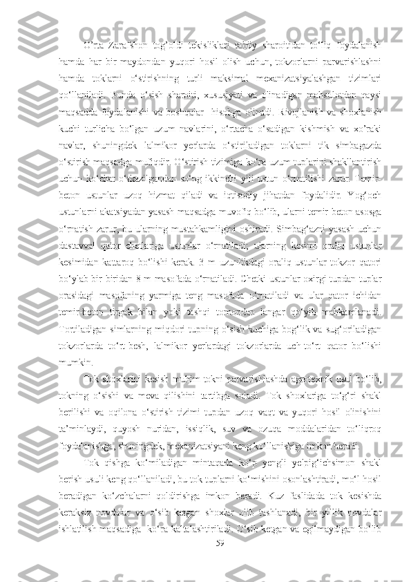 O’rta   Zarafshon   tog’oldi   tekisliklari   tabiiy   sharoitidan   to‘liq   foydalanish
hamda   har   bir   maydondan   yuqori   hosil   olish   uchun,   tokzorlarni   parvarishlashni
hamda   toklarni   o‘stirishning   turli   maksimal   mexanizatsiyalashgan   tizimlari
qo‘llaniladi.   Bunda   o‘sish   sharoiti,   xususiyati   va   olinadigan   mahsulotdan   qaysi
maqsadda   foydalanishi   va   boshqalar     hisobga   olinadi.   Rivojlanish   va   shoxlanish
kuchi   turlicha   bo‘lgan   uzum   navlarini,   o‘rtacha   o‘sadigan   kishmish   va   xo’raki
navlar,   shuningdek   lalmikor   yerlarda   o‘stiriladigan   toklarni   tik   simbagazda
o‘stirish maqsadga mufiqdir. O‘stirish tizimiga ko‘ra uzum tuplarini shakllantirish
uchun   ko‘chat   o‘tkazilgandan   so‘ng   ikkinchi   yili   ustun   o‘rnatilishi   zarur.   Temir-
beton   ustunlar   uzoq   hizmat   qiladi   va   iqtisodiy   jihatdan   foydalidir.   Yog‘och
ustunlarni akatsiyadan yasash maqsadga muvofiq bo‘lib, ularni temir-beton asosga
o‘rnatish  zarur,  bu  ularning  mustahkamligini   oshiradi.  Simbag‘azni   yasash   uchun
dastavval   qator   chetlariga   ustunlar   o‘rnatiladi;   ularning   kesimi   oraliq   ustunlar
kesimidan   kattaroq   bo‘lishi   kerak.   3   m   uzunlikdagi   oraliq   ustunlar   tokzor   qatori
bo‘ylab bir-biridan 8 m masofada o‘rnatiladi. Chetki ustunlar oxirgi tupdan tuplar
orasidagi   masofaning   yarmiga   teng   masofada   o‘rnatiladi   va   ular   qator   ichidan
temir-beton   tirgak   bilan   yoki   tashqi   tomondan   langar   qo‘yib   mahkamlanadi.
Tortiladigan simlarning miqdori  tupning o‘sish kuchiga  bog‘lik va sug‘oriladigan
tokzorlarda   to‘rt-besh,   lalmikor   yerlardagi   tokzorlarda   uch-to‘rt   qator   bo‘lishi
mumkin.
Tok   shoxlarini   kesish   muhim   tokni   parvarishlashda   agrotexnik   usul   bo‘lib,
tokning   o‘sishi   va   meva   qilishini   tartibga   soladi.   Tok   shoxlariga   to‘g‘ri   shakl
berilishi   va   oqilona   o‘stirish   tizimi   tupdan   uzoq   vaqt   va   yuqori   hosil   olinishini
ta’minlaydi,   quyosh   nuridan,   issiqlik,   suv   va   ozuqa   moddalaridan   to‘liqroq
foydalanishga, shuningdek, mexanizatsiyani keng ko‘llanishiga imkon beradi.
Tok   qishga   ko‘miladigan   mintaqada   ko‘p   yengli   yelpig‘ichsimon   shakl
berish usuli keng qo‘llaniladi, bu tok tuplarni ko‘mishini osonlashtiradi, mo‘l hosil
beradigan   ko‘zchalarni   qoldirishga   imkon   beradi.   Kuz   faslidada   tok   kesishda
keraksiz   novdalar   va   o‘sib   ketgan   shoxlar   olib   tashlanadi,   bir   yillik   novdalar
ishlatilish maqsadiga   ko‘ra kaltalashtiriladi. O‘sib ketgan va egilmaydigan bo‘lib
59 
