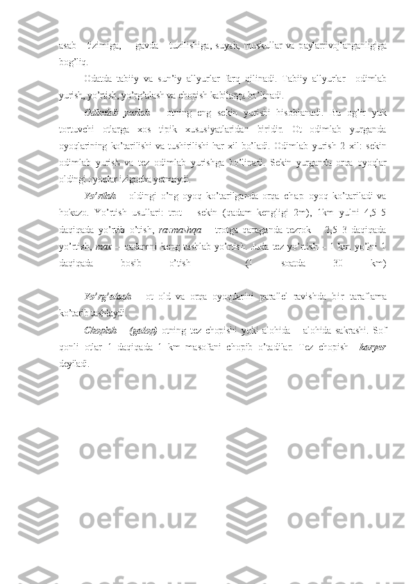 asab       tizimiga,         gavda       tuzilishiga,   suyak,   muskullar   va   p aylarrivojlanganligiga
bog’liq.
Odatda   tabiiy   va   sun’iy   allyurlar   farq   qilinadi.   Tabiiy   allyurlar     odimlab
yurish, yo’rtish, yo’rg’alash va chopish kabilarga bo’linadi.
Odimlab   yurish   –   otning   eng   sekin   yurishi   hisoblanadi.   Bu   og’ir   yuk
tortuvchi   otlarga   xos   tipik   xususiyatlaridan   biridir.   Ot   odimlab   yurganda
oyoqlarining   ko’tarilishi   va   tushi rili shi   har   xil   bo’ladi.   Odimlab   yurish   2   xil:   sekin
odimlab   yurish   va   tez   odimlab   yurishga   bo’linadi.   Sekin   yurganda   orqa   oyoqlar
oldingi oyoqlar izigacha yetmaydi.
Yo’rtish   –   oldingi   o’ng   oyoq   ko’tarilganda   orqa   c h a p   oyoq   ko’tariladi   va
hokazo.   Yo’rtish   usullari:   trot   –   sekin   (qadam   kengligi   2m),   1km   yulni   4,5–5
daqiqada   yo’rtib   o’tish,   razmashqa   –   trotga   qaraganda   tezrok   –   2,5–3   daqiqada
yo’rtish,   max   –   qadamni   keng   tashlab   yo’rtish.   Juda   tez   yo’rtish   –   1   km   yo’lni   1
daqiqada   bosib   o’tish     (1   soatda   30   km)
Yo’rg’alash   –   ot   old   va   orqa   oyoqdarini   parallel   ravishda   b i r   taraflama
ko’tarib tashlaydi.
Chopish   –   (galop)   otning   tez   chopishi   yoki   alohida   –   alohida   sakrashi.   Sof
qonli   otlar   1   daqiqada   1   km   masofani   chopib   o’tadilar.   Tez   chopish     karyer
deyiladi. 