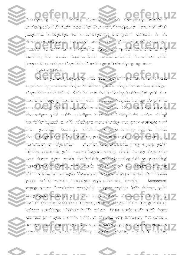 funksiyaning   roli,   tur   ichidagi   o’zgarishlar   hamda   divergensiya   sabablarini
aniqlashga o’z e’tiborlarini qarat-dilar. Chunonchi, Shmalgauzen forma hosil  qilish
jarayonida   korrelyasiya   va   koordinasiyaning   ahamiyatini   ko’rsatdi.   A.   A.
Paramonov   evolyusion   rivojlanish   uchun   boshlang’ich   material   hisoblangan
mutasion   va   kombinasion   o’zgarishlar   ontogenez-ning   turli   bosqichlarida   ro’y
berishini,   lekin   ulardan   faqat   tanlanish   nazoratida   bo’lib,   forma   hosil   qilish
jarayonida qatnashgan o’zgarishlar filembriogenetik ahamiyatga ega ekan-
ligini ta’kidladi.
Neoteniya.   Evolyusiya   jarayonida   faqat   organlarning   emas,   balki   bir   butun
organizmning embrional rivojlanishida ham ajdodlar rivojlanishidan farq qiladigan
o’zgarishlar   sodir   bo’ladi.   Ko’p   hollarda   rivojlanishning   boshlang’ich   yoki   o’rta
bosqichlari   keyingi   bosqichlarini   siqib   chiqaradi.   Natijada   bunday   o’zgarishlar
ontogenezning   ilgariroq   tugallanishiga   sabab   bo’ladi.   Ontogenetik   rivojlanishda
qisqaradigan   yoki   tushib   qoladigan   bosqichlar   funksiyalarini   undan   oldingi
bosqichlar bajaradi. «Uzilib qoladigan» mana shunday onto-genez   neoteniya   nomi
bilan   yuritiladi.   Neoteniya   ko’pincha   orga-nizmlarning   lichinka   holida
rivojlanishiga sabab bo’ladi. Masalan,  yassi  chuvalchanglar, qisqichbaqasimonlar,
hasharotlar,   amfibiyalardan   —   tritonlar,   salamandralarda   jinsiy   voyaga   yetish
lichinka   bosqichida,   ya’ni   metamorfozgacha   amalga   oshadi.   Bunday   o’zgarishlar
uzoq   davom   etgan   tarixiy   rivojlanishda   muhitning   o’zgarishi   va   yuqoridagi
hayvonlar   raqib   formala-rining   paydo   bo’lishi   tufayli   yuz   bergan.   Neoteniya
o’simlik-larda ham uchraydi. Masalan, uni lemnalar oilasiga mansub o’simliklarda
yaqqol   ko’rish   mumkin.   Taxtadjyan   qayd   qilishi-cha,   lemnalar   —   Lemnaceae
voyaga   yetgan   formalardan   emas,balki   uning   murtagidan   kelib   chiqqan,   ya’ni
evolyusiyasi   keote-niya   yo’li   bilan   borgan.   Suvda   o’suvchi   bu   o’simlikning
tuzilishi shu qadar soddalashib  ketganki,  oqibatda ular gulli o’simlik-larga nisbatan
ko’proq   suvo’tlarga   o’xshash   bo’lib   qolgan.   Pistia   suvda   suzib   yurib   hayot
kechiradigan   mayda   o’simlik   bo’lib,   tro-piklarda   keng   tarqalgan.   Yetilganda   u
lemnaga mutlaq o’xsha-maydi. Chunki unda  kichik  poya, barg, ildiz kabi  vegetativ
organlar   bo’ladi,   xolos,   Urug’ining   tuzilishi,   unishida,   mur-taklik   holatida, 