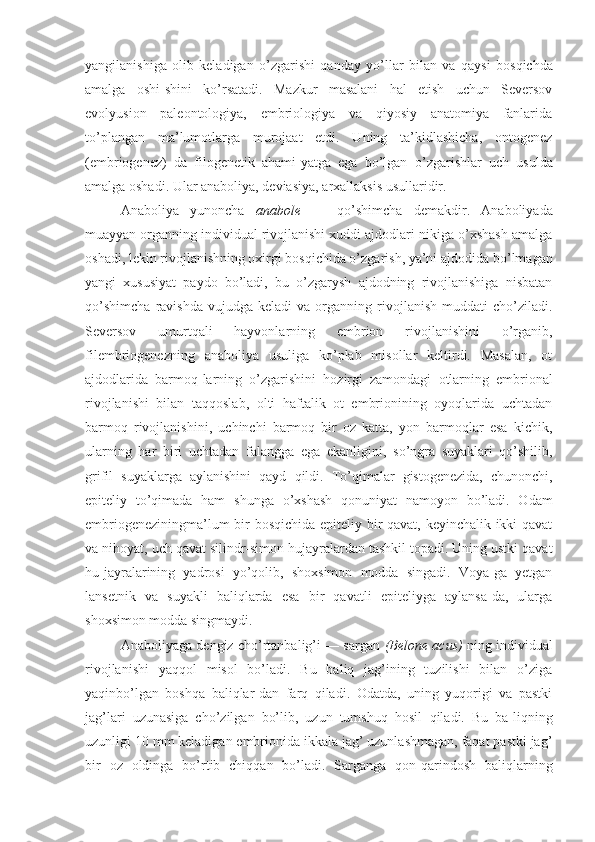 yangilanishiga   olib   keladigan   o’zgarishi   qanday   yo’llar   bilan   va   qaysi   bosqichda
amalga   oshi-shini   ko’rsatadi.   Mazkur   masalani   hal   etish   uchun   Seversov
evolyusion   paleontologiya,   embriologiya   va   qiyosiy   anatomiya   fanlarida
to’plangan   ma’lumotlarga   murojaat   etdi.   Uning   ta’kidlashicha,   ontogenez
(embriogenez)   da   filogenetik   ahami-yatga   ega   bo’lgan   o’zgarishlar   uch   usulda
amalga oshadi. Ular anaboliya, deviasiya,  arxallaksis usullaridir.
Anaboliya   yunoncha   anabole   —   qo’shimcha   demakdir.   Anaboliyada
muayyan organning individual rivojlanishi xuddi ajdodlari-nikiga o’xshash amalga
oshadi, lekin rivojlanishning oxirgi bosqichida o’zgarish, ya’ni ajdodida  bo’lmagan
yangi   xususiyat   paydo   bo’ladi,   bu   o’zgarysh   ajdodning   rivojlanishiga   nisbatan
qo’shimcha   ravishda   vujudga   keladi   va  organning  rivojlanish   muddati   cho’ziladi.
Seversov   umurtqali   hayvonlarning   embrion   rivojlanishini   o’rganib,
filembriogenezning   anaboliya   usuliga   ko’plab   misollar   keltirdi.   Masalan,   ot
ajdodlarida   barmoq-larning   o’zgarishini   hozirgi   zamondagi   otlarning   embrional
rivojlanishi   bilan   taqqoslab,   olti   haftalik   ot   embrionining   oyoqlarida   uchtadan
barmoq   rivojlanishini,   uchinchi   barmoq   bir   oz   katta,   yon   barmoqlar   esa   kichik,
ularning   har   biri   uchtadan   falangga   ega   ekanligini,   so’ngra   suyaklari   qo’shilib,
grifil   suyaklarga   aylanishini   qayd   qildi.   To’qimalar   gistogenezida,   chunonchi,
epiteliy   to’qimada   ham   shunga   o’xshash   qonuniyat   namoyon   bo’ladi.   Odam
embriogeneziningma’lum bir bosqichida epiteliy bir qavat, keyinchalik ikki qavat
va nihoyat, uch qavat silindr-simon hujayralardan tashkil topadi. Uning ustki qavat
hu-jayralarining   yadrosi   yo’qolib,   shoxsimon   modda   singadi.   Voya-ga   yetgan
lansetnik   va   suyakli   baliqlarda   esa   bir   qavatli   epiteliyga   aylansa-da,   ularga
shoxsimon modda singmaydi.
Anaboliyaga dengiz cho’rtanbalig’i — sargan   (Belone acus)   ning individual
rivojlanishi   yaqqol   misol   bo’ladi.   Bu   baliq   jag’ining   tuzilishi   bilan   o’ziga
yaqin bo’lgan   boshqa   baliqlar-dan   farq   qiladi.   Odatda,   uning   yuqorigi   va   pastki
jag’lari   uzunasiga   cho’zilgan   bo’lib,   uzun   tumshuq   hosil   qiladi.   Bu   ba-liqning
uzunligi 10 mm keladigan embrionida ikkala jag’ uzunlashmagan, faqat pastki jag’
bir   oz   oldinga   bo’rtib   chiqqan   bo’ladi.   Sarganga   qon-qarindosh   baliqlarning 