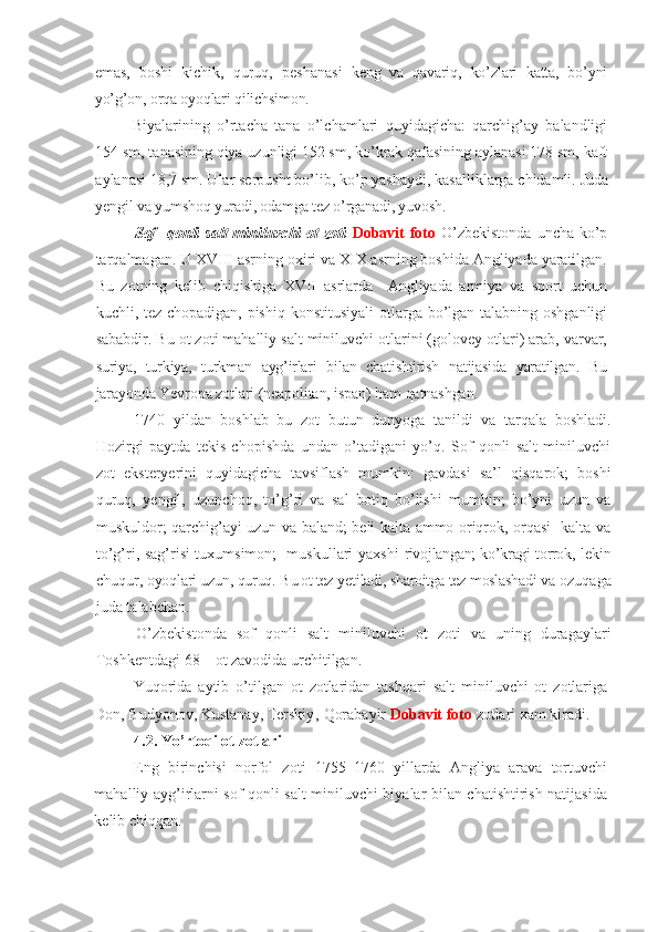 emas,   boshi   kichik,   quruq,   pesh a nasi   keng   va   qavariq ,   ko’zlari   katta,   bo’yni
yo’g’on, orqa oyoqlari qilichsimon.
Biyalarining   o’rtacha   tana   o’lchamlari   quyidagicha:   qarchig’ay   balandligi
154 sm, tanasining qiya uzunligi 152 sm, ko’krak qafasining aylanasi 178 sm, kaft
aylanasi 18,7 sm. Ular serpusht bo’lib ,  ko’p yashaydi, kasalliklarga chidamli.  Juda
yengil va yumshoq yuradi, odamga tez o’rganadi, yuvosh.
S of    qonli  salt miniluvchi ot  zoti   Dobavit  foto   O’zbekistonda   uncha   ko’p
tar q almagan . U  XVIII asrning oxiri va XIX asrning boshida Angliyada yaratilgan.
Bu   zotning   kelib   chiqishiga   XVII   asrlarda     Angliya da   armiya   va   sport   uchun
kuchli, tez chopadigan, pishiq   konstitusiyali   otlarga bo’lgan talabning oshganligi
sababdir. Bu ot zoti mahalliy salt miniluvchi otlarini (golovey otlari) arab, varvar,
suriya,   turkiya,   turkman   ayg’irlari   bilan   chatishtirish   natijasida   yaratilgan.   Bu
jarayonda Yevropa zotlari (neapolitan, ispan) ham qatnashgan.
1740   yildan   boshlab   bu   zot   butun   dunyoga   tanildi   va   tarqala   boshladi.
Hozirgi   paytda   tekis   chopishda   undan   o’tadigani   yo’q.   Sof   qonli   salt   miniluvchi
zot   eksteryerini   quyidagicha   tavsiflash   mumkin:   gavdasi   sa’l   qisqarok;   boshi
quruq,   yengil,   uzunchoq,   to’g’ri   va   sal   botiq   bo’lishi   mumkin;   bo’yni   uzun   va
muskuldor; qarchig’ayi uzun va baland; beli kalta ammo oriqrok, orqasi   kalta va
to’g’ri, sag’risi tuxumsimon;   muskullari yaxshi   rivojlangan; ko’kragi torrok,   lekin
chuqur,  oyoqlari uzun, quruq. B u ot  te z  ye tiladi , sharoitga tez moslashadi va  ozuqaga
juda talabchan.
O’zbekistonda   sof   qonli   salt   miniluvchi   ot   zoti   va   uning   duragaylari
Toshkentdagi 68 – ot zavodida urchitilgan.
  Yuqorida   aytib   o’tilgan   ot   zotlaridan   tashqari   salt   miniluvchi   ot   zotlariga
Don, Budyonov, Kustanay, Terskiy ,  Qorabayir  Dobavit foto  zotlari xam kiradi.
4.2.  Yo’rtoqi ot zotlari
Eng   birinchisi   norfol   zoti   1755–1760   yillarda   Angliya   arava   tortuvchi
mahalliy ayg’irlarni sof qonli salt miniluvchi biyalar bilan chatishtirish natijasida
kelib chiqqan.  