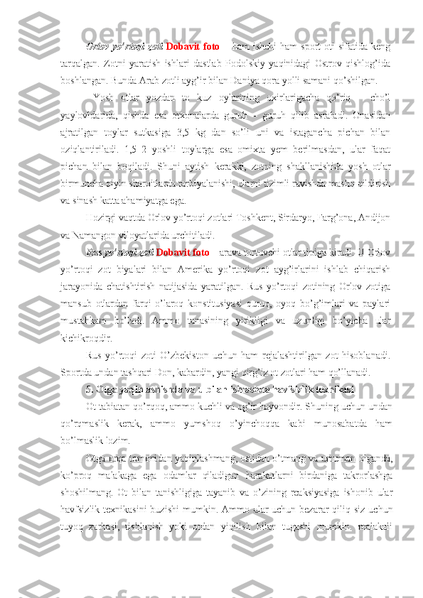 Orlov   yo’rtoqi   zoti   Dobavit   foto   –   ham   ishchi   ham   sport   oti   sifatida  keng
tarqalgan.   Zotni   yaratish   ishlari   dastlab   Podolskiy   yaqinidagi   Ostrov   qishlog’ida
boshlangan. Bunda Arab zotli ayg’ir bilan Daniya qora yolli samani qo’shilgan.
  Yosh   otlar   yozdan   to   kuz   oylarining   oxirlarigacha   qo’riq   –   cho’l
yaylovldarida,   qishda   esa   otxonalarda   guruh   –   guruh   qilib   asraladi.   Onasidan
ajratilgan   toylar   sutkasiga   3,5   kg   dan   so’li   uni   va   istagancha   pichan   bilan
oziqlantiriladi.   1,5–2   yoshli   toylarga   esa   omixta   yem   berilmasdan,   ular   faqat
pichan   bilan   boqiladi.   Shuni   aytish   kerakki,   zotning   shakllanishida   yosh   otlar
birmuncha qiyin sharoitlarda tarbiyalanishi, ularni tizimli ravishda mashq qildirish
va sinash katta ahamiyatga ega.
Hozirgi vaqtda Orlov yo’rtoqi zotlari Toshkent, Sirdaryo, Farg’ona, Andijon
va Namangon viloyatlarida urchitiladi.
Rus yo’rtoqi zoti   Dobavit foto  – arava tortuvchi otlar tipiga kiradi. U Orlov
yo’rtoqi   zot   biyalari   bilan   Amerika   yo’rtoqi   zot   ayg’irlarini   ishlab   chiqarish
jarayonida   chatishtirish   natijasida   yaratilgan.   Rus   yo’rtoqi   zotining   Orlov   zotiga
mansub   otlardan   farqi   o’laroq   konstitusiyasi   quruq,   oyoq   bo’g’imlari   va   paylari
mustahkam   bo’ladi.   Ammo   tanasining   yirikligi   va   uzunligi   bo’yicha   ular
kichikroqdir.
Rus   yo’rtoqi   zoti   O’zbekiston   uchun   ham   rejalashtirilgan   zot   hisoblanadi.
Sportda undan tashqari Don, kabardin, yangi qirg’iz ot zotlari ham qo’llanadi.
5. Otga yaqinlashishda va u bilan ishlashda havfsizlik texnikasi
Ot tabiatan qo’rqoq, ammo kuchli va og’ir hayvondir. Shuning uchun undan
qo’rqmaslik   kerak,   ammo   yumshoq   o’yinchoqqa   kabi   munosabatda   ham
bo’lmaslik lozim. 
Otga orqa tomonidan yaqinlashmang, ostidan o’tmang va umuman olganda,
ko’proq   malakaga   ega   odamlar   qiladigan   harakatlarni   birdaniga   takrorlashga
shoshilmang.   Ot   bilan   tanishligiga   tayanib   va   o’zining   reaksiyasiga   ishonib   ular
havfsizlik texnikasini  buzishi  mumkin. Ammo ular  uchun bezarar  qiliq siz  uchun
tuyoq   zarbasi,   tishlanish   yoki   otdan   yiqilish   bilan   tugashi   mumkin.   malakali 