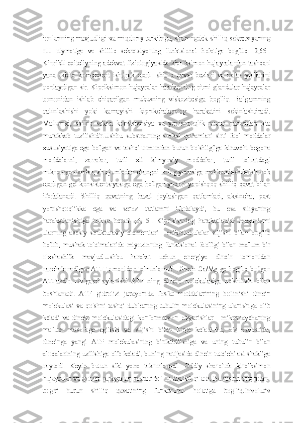 ionlarining mavjudligi va miqdoriy tarkibiga, shuningdek shilliq sekretsiyaning
pH   qiymatiga   va   shilliq   sekretsiyaning   funktsional   holatiga   bog'liq   [2,65].
Kiprikli epiteliyning adekvat fiziologiyasida kipriksimon hujayralardan tashqari
yana   ikkita   komponent   ishtirok   etadi:   shilliq   qavat   bezlari   va   nafas   yo'llarini
qoplaydigan sir. Kipriksimon hujayralar harakatining ritmi glandular hujayralar
tomonidan   ishlab   chiqarilgan   mukusning   viskozitesiga   bog'liq.   Balg'amning
qalinlashishi   yoki   kamayishi   kiprikchalarning   harakatini   sekinlashtiradi.
Ma'lumki,   shilliq   sekret   konsistensiya   va   yopishqoqlik   nuqtai   nazaridan   o'ta
murakkab   tuzilishdir.Ushbu   substratning   apikal   qatlamlari   sirti   faol   moddalar
xususiyatiga ega bo'lgan va tashqi tomondan burun bo'shlig'iga kiruvchi begona
moddalarni,   zarralar,   turli   xil   kimyoviy   moddalar,   turli   tabiatdagi
mikroorganizmlar, shu jumladan changni uning yuzasiga mahkamlashda ishtirok
etadigan gel konsistentsiyasiga ega bo'lgan yuqori yopishqoq shilliq qavat bilan
ifodalanadi.   Shilliq   qavatning   bazal   joylashgan   qatlamlari,   aksincha,   past
yopishqoqlikka   ega   va   seroz   qatlamni   ifodalaydi,   bu   esa   siliyaning
harakatlanishiga   imkon   beradi   [4,   5].   Kipriklarning   harakatlanish   mexanizmi
ularning   asosiy   strukturaviy   elementlari   -   mikrotubulalar   siljishi   bilan   bog'liq
bo'lib,   mushak   to'qimalarida   miyozinning   funktsional   faolligi   bilan   ma'lum   bir
o'xshashlik   mavjud.Ushbu   harakat   uchun   energiya   dinein   tomonidan
parchalanadigan ATF tomonidan ta'minlanadi. Dinein Ca/Mg ga bog'liq bo'lgan
ATFazdir.   Dvigatel   aylanishi   ATF   ning   dinein   molekulasiga   qo'shilishi   bilan
boshlanadi.   ATF   gidrolizi   jarayonida   fosfat   moddalarining   bo'linishi   dinein
molekulasi  va  qo'shni  tashqi   dubletning  tubulin  molekulasining   ulanishiga  olib
keladi   va   dinein   molekulasidagi   konformatsion   o'zgarishlar   -   mikronaychaning
ma'lum   masofaga   egilishi   va   siljishi   bilan   birga   keladi.Bu,   o'z   navbatida,
dineinga   yangi   ATP   molekulasining   biriktirilishiga   va   uning   tubulin   bilan
aloqalarining uzilishiga olib keladi, buning natijasida dinein tutqichi asl shakliga
qaytadi.   Keyin   butun   sikl   yana   takrorlanadi.   Oddiy   sharoitda   kirpiksimon
hujayralar va goblet hujayralari nisbati 5:1 ni tashkil qiladi. Bu nisbat to'g'ridan-
to'g'ri   burun   shilliq   qavatining   funktsional   holatiga   bog'liq.Involutiv 