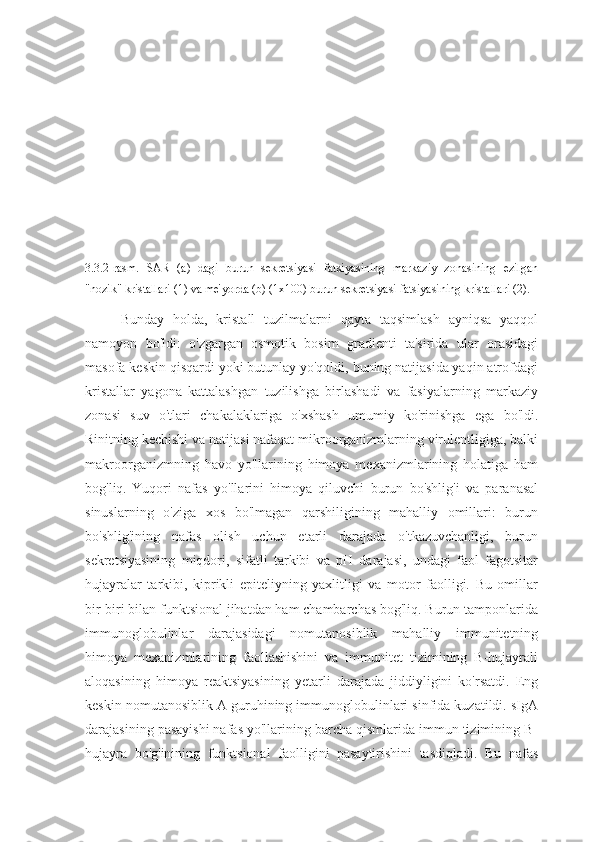 3.3.2-rasm.   SAR   (a)   dagi   burun   sekretsiyasi   fatsiyasining   markaziy   zonasining   ezilgan
"nozik" kristallari (1) va me'yorda (b) (1x100) burun sekretsiyasi fatsiyasining kristallari (2).
Bunday   holda,   kristall   tuzilmalarni   qayta   taqsimlash   ayniqsa   yaqqol
namoyon   bo'ldi:   o'zgargan   osmotik   bosim   gradienti   ta'sirida   ular   orasidagi
masofa keskin qisqardi yoki butunlay yo'qoldi, buning natijasida yaqin atrofdagi
kristallar   yagona   kattalashgan   tuzilishga   birlashadi   va   fasiyalarning   markaziy
zonasi   suv   o'tlari   chakalaklariga   o'xshash   umumiy   ko'rinishga   ega   bo'ldi.
Rinitning kechishi va natijasi nafaqat mikroorganizmlarning virulentligiga, balki
makroorganizmning   havo   yo'llarining   himoya   mexanizmlarining   holatiga   ham
bog'liq.   Yuqori   nafas   yo'llarini   himoya   qiluvchi   burun   bo'shlig'i   va   paranasal
sinuslarning   o'ziga   xos   bo'lmagan   qarshiligining   mahalliy   omillari:   burun
bo'shlig'ining   nafas   olish   uchun   etarli   darajada   o'tkazuvchanligi,   burun
sekretsiyasining   miqdori,   sifatli   tarkibi   va   pH   darajasi,   undagi   faol   fagotsitar
hujayralar   tarkibi,   kiprikli   epiteliyning   yaxlitligi   va   motor   faolligi.   Bu   omillar
bir-biri bilan funktsional jihatdan ham chambarchas bog'liq. Burun tamponlarida
immunoglobulinlar   darajasidagi   nomutanosiblik   mahalliy   immunitetning
himoya   mexanizmlarining   faollashishini   va   immunitet   tizimining   B-hujayrali
aloqasining   himoya   reaktsiyasining   yetarli   darajada   jiddiyligini   ko'rsatdi.   Eng
keskin nomutanosiblik A guruhining immunoglobulinlari sinfida kuzatildi. sIgA
darajasining pasayishi nafas yo'llarining barcha qismlarida immun tizimining B-
hujayra   bo'g'inining   funktsional   faolligini   pasaytirishini   tasdiqladi.   Bu   nafas 