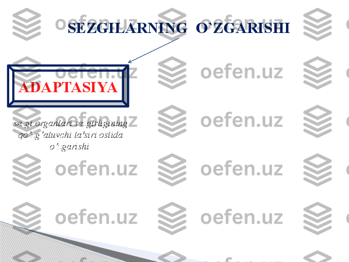 S EZGILAR NING  O`ZGARISHI
sezgi organlari sezgirligining 
qo’zg’atuvchi ta'siri ostida 
o’zgarishi  ADAPTASIYA     