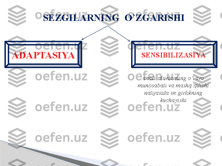 S EZGILAR NING  O`ZGARISHI
ADAPTASIYA SENSIBILIZASIYA 
analizatorlarning o’zaro 
munosabati va mashq qilishi 
natijasida sezgirlikning 
kuchayishi     