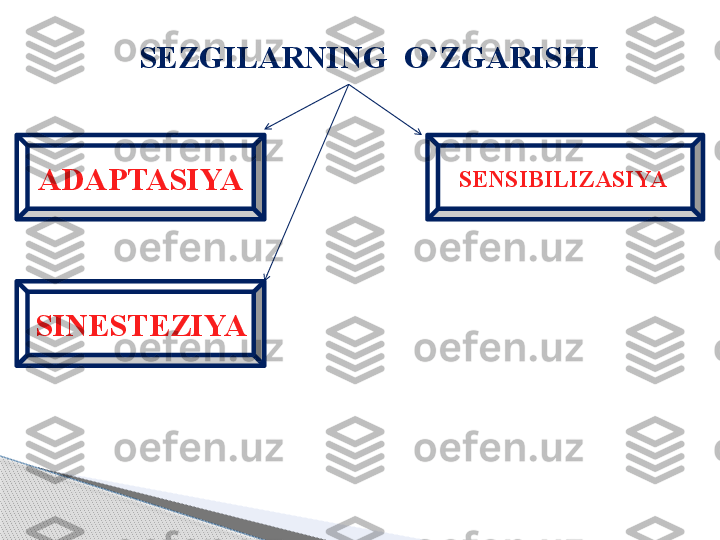 S EZGILAR NING  O`ZGARISHI
ADAPTASIYA SENSIBILIZASIYA 
SINESTEZIYA      