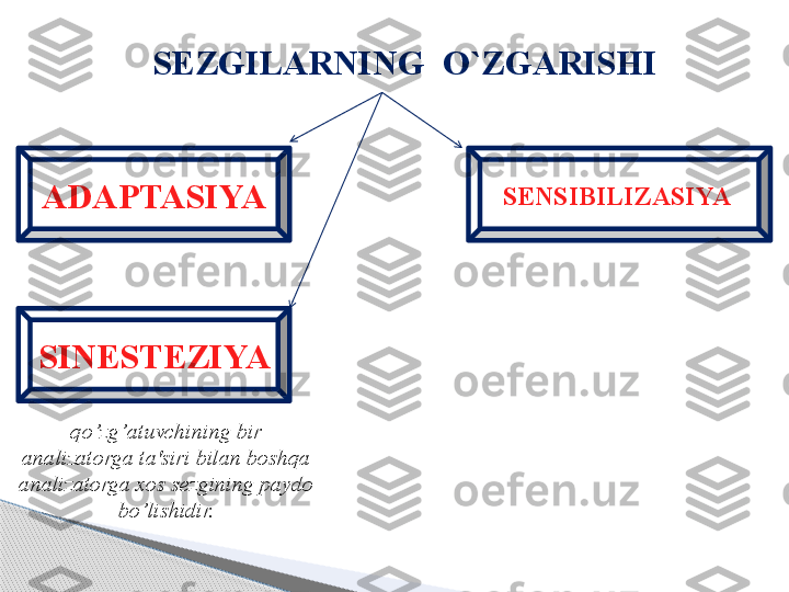 S EZGILAR NING  O`ZGARISHI
ADAPTASIYA SENSIBILIZASIYA 
SINESTEZIYA 
q o’z g’ atuvchining bir 
analizatorga ta'siri bilan bosh q a 
analizatorga xos sezgining paydo 
bo’lishidir.     