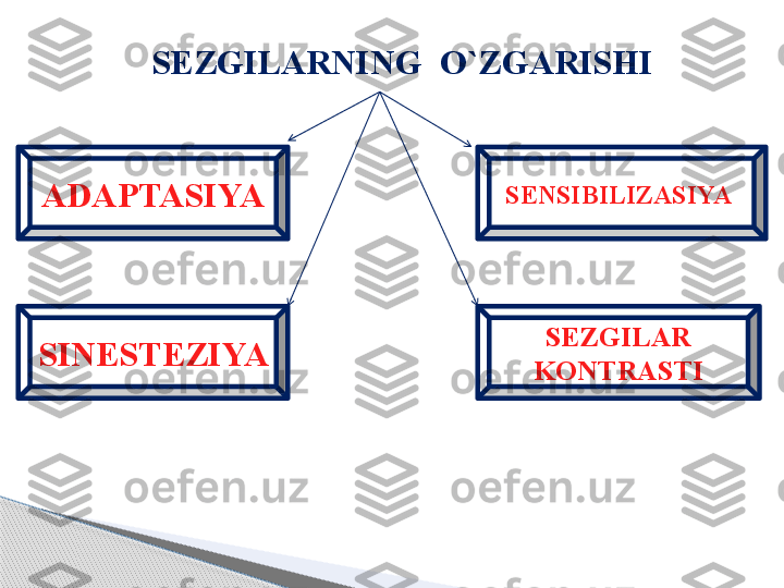 S EZGILAR NING  O`ZGARISHI
ADAPTASIYA SENSIBILIZASIYA 
SINESTEZIYA  SEZGILAR 
KONTRASTI     