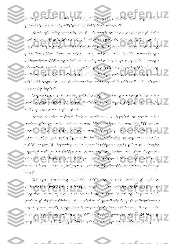 va   hayvon   mahmulotlarini   yemiradi,   dalada   ham,   saqlashda   ham,   yog‘ochlikni
yo‘qotib ko‘p sonli o‘simlik kasalliklarini keltirib chiqaradi.
Zamburg‘larning   vegetativ   tanasi   juda   mayda   va   nozik   shoxlangan   giflardan
tuzalgan va u misella deb ataladi. Gif misellaning asosiy elementi bo‘lib, uchidan
o‘sish   qobiliyatiga   ega   bo‘lgan   cho‘zinchoq   ip   hisoblanadi.   Giflar   to‘siqqa   ega
yuhbo‘lmasliklari   ham   mumkin,   unda   misella   bita   kuchli   tarmoqlangan
xo‘jayradan   tashkil   topgan  bo‘ladi.  Bunday   misella   xo‘jayrasiz   yoki   bo‘linmagan
deb atalladi. Ko‘ndalang to‘siqqa ega bo‘lgan giflar ko‘p xujayrali yoki bo‘laklarga
bo‘lingan   (septirli)   misella   hosil   qiladi.   Oddiy   zamburug‘larning   kam   sonli
vakillarid   vegetativ   tana   sitoplazmaning   ochiq   uyumi   hisoblanadi   –   bu   plazma
plozmodiy deyiladi.
Vegetativ  tanasi   plazmodiy  yoki   a’zolarga   bo‘linmagan  miseliy   bo‘lsa   tuban
zamburug‘lar   deyiladi.   A’zolarga   (bo‘laklarga)   bo‘lingan   ko‘p   xo‘jarali   miseliy
bo‘lsa yuksak zamburug‘ deyiladi.
Zoosporalardan   tashqari   boshqa   zamburug‘   xo‘jayralari   va   ayrim   tuban
zamburug‘lar vegetativ tansi qattiq qavat bilan o‘ralgan. Bu qavat bir, ikki va uch
qavatli   bo‘lish   mumkin.   Xo‘jayra   qavati   kimyoviy   tarkibi   bo‘yicha   asosan
uglevodlardan   azot   saqlaydigan   xitin   tipidagi   birikmalar   va   yog‘   moddalaridan
tashkil   topgan.   Xo‘jayraning   qattiq   qavati   hisobiga   vegetativ   giflar   va   ko‘payish
organlari   ma’lum   bir   shaklga   ega.   Zamburug‘   va   ulardan   aniqlashda   diagnostik
belgi   sifatida   foydalaniladi.   Xo‘jayra   devori   xo‘jayra   ichidan   organlarni   tashqi
muhit substrat  o‘rtasida, xo‘jayra va tashqi  muhit o‘rtasida moddalar almashinuvi
boradi.
Xo‘jayra   devorining   tuzilishi,   tarkibi   va   xossasi   zamburug‘   turi   va
xo‘jayraning   funksiyasi   (vazifasiga)   bog‘liq.   Ular   xo‘jayra   yoki   o‘tish   bilan
o‘zgarishi   mumkin,   oziqlanish   sharoiti   va   boshqa   faktorlarga   bog‘liq   holda
zamburug‘   rivojlanishining   turli   fazalarida   o‘zgaradi.odatda   yosh   xo‘jayralarning
devori   yupqa,   nozik,   rangsiz,   strukturasi   bo‘yicha   bir   jinsli   bo‘ladi.   Yosh   o‘tishi
bilan   xo‘jayra   qavati   qalinlashadi,   shilliqlashadi,   pigmentlar   to‘planishi   hisobiga
rangini o‘zgartiradi. Xo‘jayra devori tashqi qavati, ayniqsa sporalarda ko‘p yonlik 