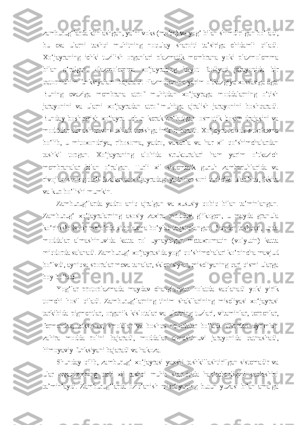 zamburug‘larda ktinlashgan, ya’ni voks (mo‘m) va yog‘ bilan shimdirilgan bo‘ladi,
bu   esa   ularni   tashqi   muhitning   noqulay   sharoiti   ta’siriga   chidamli   qiladi.
Xo‘jayraning   ichki   tuzilish   organlari   plazmatik   membrana   yoki   plazmolemma
bilan   o‘ralgan.   Plazmolemma   xo‘jayraning   hayot   faoliyati   jarayonida   bir
qatormuhim funksiyalarni bajaradi. Plazmolemma yarim o‘tkazgiya xossasiga ega.
Buning   evaziga   membrana   atrof   muhitdan   xo‘jayraga   moddalarning   o‘tish
jarayonini   va   ularni   xo‘jayradan   atrof-muhitga   ajralish   jarayonini   boshqaradi.
Bunday   boshqarish   xo‘jayra   uchun   kerak   bo‘ladigan   osmotik   bosim   drajasini   va
moddalar almashinuvini ushlab turishga imkon beradi. Xo‘jayra ichida sitoplazma
bo‘lib,   u   mitoxondriya,   ribosoma,   yadro,   vakuola   va   har   xil   qo‘shimchalardan
tashkil   topgan.   Xo‘jayraning   alohida   strukturalari   ham   yarim   o‘tkazich
membranalar   bilan   o‘ralgan.   Turli   xil   sistematik   guruh   zamburuhlarida   va
rivojlanishning turli fazalarida xo‘jayradagi yadrolar soni turlicha: ular bita, ikkita
va kup bo‘lishi mumkin.
Zamburug‘larda   yadro   aniq   ajralgan   va   xususiy   qobiq   bilan   ta’minlangan.
Zamburug‘   xo‘jayralarning   asosiy   zaxira   moddasi   glikogen,   u   mayda   granula
ko‘rinishida bir me’o‘rda sitoplazma bo‘ylab taqsimlangan. Bundan tashqari, unda
moddalar   almashinuvida   katta   rol   uynaydigan   metaxromatin   (volyutin)   katta
miqdorda salanadi. Zamburug‘ xo‘jayrasida yog‘ qo‘shimchalari ko‘pincha mavjud
bo‘lvdi, ayniqsa sporalar meva tanalar, sklerosiylar, miseliyaning qari qismi ularga
boy bo‘ladi.
Yog‘lar   protoplazmada   maydav   changlangan   holatda   saqlanadi   yoki   yirik
tomchi   hosil   qiladi.   Zamburug‘larning   tinim   shakllarining   miseliyasi   xo‘jayrasi
tarkibida   pigmentlar,   organik   kislotalar   va   ularning   tuzlari,   vitaminlar,   terpenlar,
fermentlar,   toksinlar,   smolalar   va   boshqa   moddalar   bo‘ladi.   Ulardan   ayrimlari
zahira   modda   rolini   bajaradi,   moddalar   almashinuvi   jarayonida   qatnashadi,
himoyaviy funksiyani bajaradi va hakoza. 
Shunday   qilib,   zamburug‘   xo‘jayrasi   yaxshi   tashkillashtirilgan   sistemadir   va
ular   organizmning   turli   xil   tashqi   muhit   sharoitida   hao‘tchanligini   saqlashini
ta’minlaydi.   Zamburug‘larda   oziqlanish   miseliyaning   butun   yuzasi   bilan   amalga 