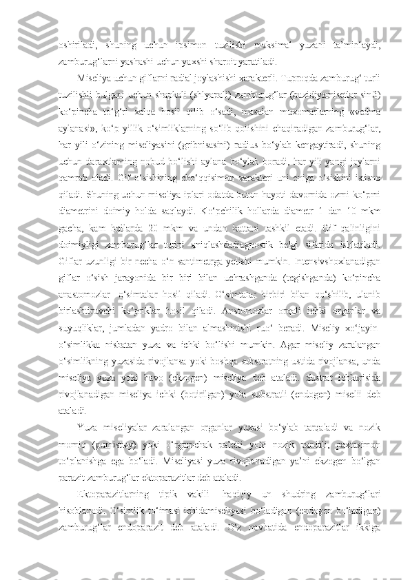 oshiriladi,   shuning   uchun   ipsimon   tuzilishi   maksimal   yuzani   ta’minlaydi,
zamburug‘larni yashashi uchun yaxshi sharoit yaratiladi.
Miseliya uchun giflarni radial joylashishi xarakterli. Tuproqda zamburug‘ turli
tuzilishli bulgani uchun shapkali  (shlyapali) zamburug‘lar (bazidiyamisetlar  sinfi)
ko‘pincha   to‘g‘ri   xalqa   hosil   qilib   o‘sadi,   masalan   muxomarlarning   «vedma
aylanasi»,   ko‘p   yillik   o‘simliklarning   so‘lib   qolishini   chaqiradigan   zamburug‘lar,
har   yili   o‘zining   miseliyasini   (gribnisasini)   radius   bo‘ylab   kengaytiradi,   shuning
uchun   daraxtlarning   nobud   bo‘lishi   aylana   bo‘ylab   boradi,   har   yili   yangi   joylarni
qamrab   oladi.   Gif   o‘sishining   cho‘qqisimon   xarakteri   uni   eniga   o‘sishini   istisno
qiladi. Shuning uchun miseliya iplari odatda butun hayoti davomida ozmi-ko‘pmi
diametrini   doimiy   holda   saqlaydi.   Ko‘pchilik   hollarda   diametr   1   dan   10   mkm
gacha,   kam   hollarda   20   mkm   va   undan   kattani   tashkil   etadi.   Gif   qalinligini
doimiyligi   zamburug‘lar   turini   aniqlashdadiagnostik   belgi   sifatida   ishlatiladi.
Giflar   uzunligi   bir   necha   o‘n   santimetrga   yetishi   mumkin.   Intensivshoxlanadigan
giflar   o‘sish   jarayonida   bir   biri   bilan   uchrashganda   (tegishganda)   ko‘pincha
anastomozlar-   o‘simtalar   hosil   qiladi.   O‘simtalar   birbiri   bilan   qo‘shilib,   ulanib
birlashtiruvchi   ko‘priklar   hosil   qiladi.   Anstomozlar   orqali   ichki   organlar   va
suyuqliklar,   jumladan   yadro   bilan   almashinishi   ruo‘   beradi.   Miseliy   xo‘jayin-
o‘simlikka   nisbatan   yuza   va   ichki   bo‘lishi   mumkin.   Agar   miseliy   zaralangan
o‘simlikning  yuzasida  rivojlansa  yoki  boshqa   substratning  ustida  rivojlansa,  unda
miseliya   yuza   yoki   havo   (ekzogen)   miseliya   deb   ataladi.   Sustrat   ichkarisida
rivojlanadigan   miseliya   ichki   (botirilgan)   yoki   substratli   (endogen)   miselii   deb
ataladi.
Yuza   miseliyalar   zaralangan   organlar   yuzasi   bo‘ylab   tarqaladi   va   nozik
momiq   (pumist ы y)   yoki   o‘rgamchak   paletli   yoki   nozik   pardali,   paxtasimon
to‘planishga   ega   bo‘ladi.   Miseliyasi   yuza   rivojlanadigan   ya’ni   ekzogen   bo‘lgan
parazit zamburug‘lar ektoparazitlar deb ataladi.
Ektoparazitlarning   tipik   vakili-   haqiqiy   un   shudring   zamburug‘lari
hisoblanadi.   O‘simlik   to‘imasi   ichidamiseliyasi   bo‘ladigan   (endogen   bo‘ladigan)
zamburug‘lar   endoparazit   deb   ataladi.   O‘z   navbatida   endoparazitlar   ikkiga 