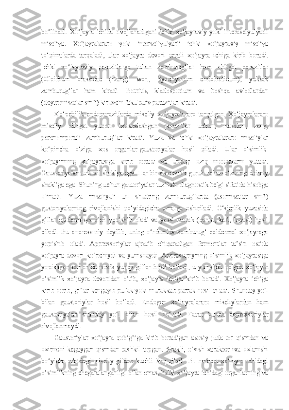 bo‘linadi.   Xo‘jayra   ichida   rivojlanadigani   ichki   xo‘jayraviy   yoki   interaselyulyarli
miseliya.   Xo‘jayralararo   yoki   intersellyulyarli   ichki   xo‘jayraviy   miseliya
to‘qimalarda   tarqaladi,   ular   xo‘jayra   devori   orqali   xo‘jayra   ichiga   kirib   boradi.
Ichki   xo‘jayraviy   parazitlarga   tuban   zamburug‘lar   ham   obligat   parazitlar
(Olpidium   brassicae   (Dang)   wor.,   Synchytrium   endobioticum),   yuksak
zamburug‘lar   ham   kiradi-   Botritis,   kladosporium   va   boshqa   avlodlardan
(deytromisetlar sinfi) kiruvchi fakultativ parazitlar kiradi.
Ko‘pchilik   endoparazitlarda   miseliy   xo‘jayralararo   tarqalgan.   Xo‘jayralararo
miseliy   obligat   yuqori   ixtisoslashgan   parazitlar   uchun,   masalan,   zang,
perenomporali   zamburug‘lar   kiradi.   Yuza   va   ichki   xo‘jayralararo   miseliylar
ko‘pincha   o‘ziga   xos   organlar-gaustoriyalar   hosil   qiladi.   Ular   o‘simlik-
xo‘jayinning   xo‘jayrasiga   kirib   boradi   va   undagi   oziq   moddalarni   yutadi.
Gaustoriyalar turli xil shaklga ega. Har bir sistematik guruh uchun o‘zining doimiy
shakliga ega. Shuning uchun gautoriyalar tuzilishi diagnostik belgi sifatida hisobga
olinadi.   Yuza   miseliyali   un   shudring   zamburug‘larda   (asomisetlar   sinfi)
gustoriyalarning   rivojlanishi   qo‘yidagicha   amalga   oshiriladi.   O‘simlik   yuzasida
giflar   epidermisga   zich   yopishib   oladi   va   yassi   parrak   (qanot,   kaft,   lopast)   hosil
qiladi.   Bu   appressoriy   deyilib,   uning   o‘rdamida   zamburug‘   epidermal   xo‘jayraga
yopishib   oladi.   Appressoriylar   ajratib   chiqaradigan   fermentlar   ta’siri   ostida
xo‘jayra   devori   ko‘pchiydi   va   yumshaydi.   Appressoriyning   o‘simlik   xo‘jayrasiga
yopishgan tomonida nozik yupqa  giflar  hosil  bo‘ladi, u yumshab qolgan xo‘jayin
o‘simlik   xo‘jayra   devoridan   o‘tib,   xo‘jayra   ichiga   kirib   boradi.   Xo‘jayra   ichiga
kirib borib, giflar kengayib pufak yoki murakkab parrak hosil qiladi. Shunday yo‘l
bilan   gaustoriylar   hosil   bo‘ladi.   Endogen   xo‘jayralararo   miseliylardan   ham
gaustoriyalar   shunday   yo‘l   bilan   hosil   bo‘ladi.   Faqat   bunda   appressoriylar
rivojlanmaydi.
Gaustoriylar   xo‘jayra   qobig‘iga   kirib   boradigan   asosiy   juda   tor   qismdan   va
oxiriichi   kegaygan   qismdan   tashkil   topgan.   Shakli,   o‘sish   xarakter   iva   oxlanishi
bo‘yicha   odatdagi   miseliy   gifdan   kuchli   farq   qiladi.   Bu   nafaqat   xo‘jayra   ichidagi
o‘simlikning chegaralanganligi bilan emas, balki xo‘jayra ichidagi organlarning va 