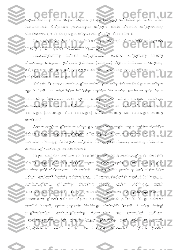 suyuqliklarning   kirib   kelgan   begona   jismga   (tanaga)   ko‘rsatadigan   ta’siri   bilan
tushuntiriladi.   Ko‘pincha   gaustoriylar   xo‘jayra   ichida   o‘simlik   xo‘jayrasining
sitoplazmasi ajratib chiqadigan sellyulozali g‘ilofga o‘rab olinadi.
Gaustoriylardan farqli ularoq tirik xo‘jayra ichiorqali o‘tgan ichki xo‘jayraviy
miseliy giflarning o‘sish xarakteri o‘zgarmaydi.
Gaustoriylarning   bo‘lishi   xo‘jayralararo   vaichki   xo‘jayraviy   miseliy
o‘rtasidagi   chegarani   yo‘qotib   yuboradi   (uchiradi).   Ayrim   hollarda   miseliyning
xo‘jayralararo va ichki xo‘jayraviy yurishi zamburug‘ning rivojlanish sharoiti bilan
aniqlanishi ham aniqlangan. 
Ko‘pchilik   parazit   zamburug‘lar   mahalliy   miseliy   deb   atadladigan   miseliyga
ega   bo‘ladi.   Bu   miselliylar   infeksiya   joyidan   bir   necha   santimetr   yoki   hatto
millimetrga   tarqaladi.   Lekin   ayrim   endoparazitlar   uchun,   masalan   qorakuya
zamburug‘lar   uchun   bir   butun   organlarga   hatto   bir   butun   o‘simlikka   kirib
boradigan   (ich-ichiga   o‘tib   boradigan)   diffuzli   miseliy   deb   ataladigan   miseliy
xarakterli.
Ayrim zamburug‘larda miseliynig substrat bilan tegib turgan joyidan rizoidlar
deb ataladigan qisqa  tarmoqlangan  giflar  bog‘  (bog‘lam, tutam)  hosil  bo‘ladi. Bu
hosilalar   o‘zinngig   funksiyasi   bo‘yicha   ildizga   yaqin   turadi,   ularning   o‘rdamida
zamburug‘ substratga mahkamlanadi.
Hayot   siklining   ma’lum   bir   bosqichida   ko‘pchilik   zamburug‘larda   chatishib
o‘ralib   ketgan   giflardan   tashkil   topgan   hosilalar   paydo   bo‘ladi.   Ular   yolg‘on
to‘qima   yoki   plektenxima   deb   ataladi.   Bunday   holda   garchi   yuksak   o‘simliklar
uchun   xarakterli   haqiqiy   to‘qimalarga   differensiasiyalanish   mavjud   bo‘lmasada,
zamburug‘larda   giflarning   chatishib   o‘ralib   ketishi   zichligiga   qarab
plektenximaning   ikkita   tipiga   ajratiladi:   prozenxima   va   psevdoparenxima.
Prozenxima   g‘ovak   yolg‘on   to‘qima   hisoblanadi,   unda   giflar   bir-biriga   nisbatan
parallel   boradi,   ayrim   joylarda   bir-biriga   o‘ralashib   ketadi.   Bunday   tipdagi
to‘g‘imalardan   zamburug‘larning   rizomorflari   va   stromalari   tuzilgan.
Psevdopayenxima   zich   o‘ralib   ketgan   giflarning   oval   yoki   izodiametrik
xo‘jayralardan   tarkib   topgan   va   o‘zining   strukturasi   bo‘yicha   yuksak 