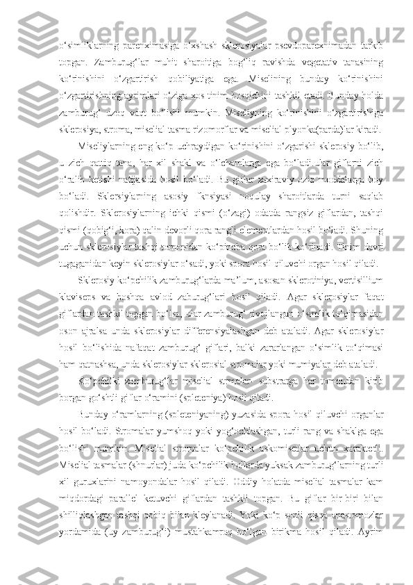 o‘simliklarning   parenximasiga   o‘xshash   sklerosiyalar   psevdoparexnimadan   tarkib
topgan.   Zamburug‘lar   muhit   sharoitiga   bog‘liq   ravishda   vegetativ   tanasining
ko‘rinishini   o‘zgartirish   qobiliyatiga   ega.   Miselining   bunday   ko‘rinishini
o‘zgartirishning ayrimlari o‘ziga xos tinim bosqichini tashkil etadi. Bunday holda
zamburug‘   uzoq   vaqt   bo‘lishi   mumkin.   Miseliyning   ko‘rinishini   o‘zgartirishiga
sklerosiya, stroma, miselial tasma rizomorflar va miselial plyonka(parda)lar kiradi.
Miseliylarning eng ko‘p uchraydigan ko‘rinishini  o‘zgarishi  sklerosiy  bo‘lib,
u   zich   qattiq   tana,   har   xil   shakl   va   o‘lchamlarga   ega   bo‘ladi.ular   giflarni   zich
o‘ralib   ketishi   natijasida   hosil   bo‘ladi.   Bu   giflar   zaxiraviy   oziq   moddalarga   boy
bo‘ladi.   Sklersiylarning   asosiy   fknsiyasi   noqulay   sharoitlarda   turni   saqlab
qolishdir.   Sklerosiylarning   ichki   qismi   (o‘zagi)   odatda   rangsiz   giflardan,   tashqi
qismi (qobig‘i, kora) qalin devorli qora rangli elementlardan hosil bo‘ladi. Shuning
uchun sklerosiylar  tashqi  tomonidan ko‘pincha qora bo‘lib ko‘rinadi. Tinim davri
tugaganidan keyin sklerosiylar o‘sadi, yoki spora hosil qiluvchi organ hosil qiladi. 
Sklerosiy ko‘pchilik zamburug‘larda ma’lum, asosan sklerotiniya, vertisillium
klaviseps   va   boshqa   avlod   zaburug‘lari   hosil   qiladi.   Agar   sklerosiylar   faqat
giflardan tashkil topgan bo‘lsa, ular zamburug‘ rivojlangan o‘simlik to‘qimasidan
oson   ajralsa   unda   sklerosiylar   differensiyalashgan   deb   ataladi.   Agar   sklerosiylar
hosil   bo‘lishida   nafaqat   zamburug‘   giflari,   balki   zararlangan   o‘simlik   to‘qimasi
ham qatnashsa, unda sklerosiylar sklerosial stromalar yoki mumiyalar deb ataladi.
Ko‘pchilki   zamburug‘lar   miselial   strmalar-   substratga   har   tomondan   kirib
borgan go‘shtli giflar o‘ramini (spleteniya) hosil qiladi.
Bunday o‘ramlarning (spleteniyaning)  yuzasida spora hosil  qiluvchi  organlar
hosil  bo‘ladi.  Stromalar   yumshoq  yoki  yog‘ochlashgan,   turli   rang  va  shaklga   ega
bo‘lishi   mumkin.   Miselial   stromalar   ko‘pchilik   askomisetlar   uchun   xarakterli.
Miselial tasmalar (shnurlar) juda ko‘pchilik hollarda yuksak zamburug‘larning turli
xil   guruxlarini   namoyondalar   hosil   qiladi.   Oddiy   holatda   miselial   tasmalar   kam
miqdordagi   parallel   ketuvchi   giflardan   tashkil   topgan.   Bu   giflar   bir-biri   bilan
shilliqlashgan   tashqi   qobiq   bilan   kleylanadi.   Yoki   ko‘p   sonli   qisqa   anastomozlar
yordamida   (uy   zamburug‘i)   mustahkamroq   bo‘lgan   birikma   hosil   qiladi.   Ayrim 