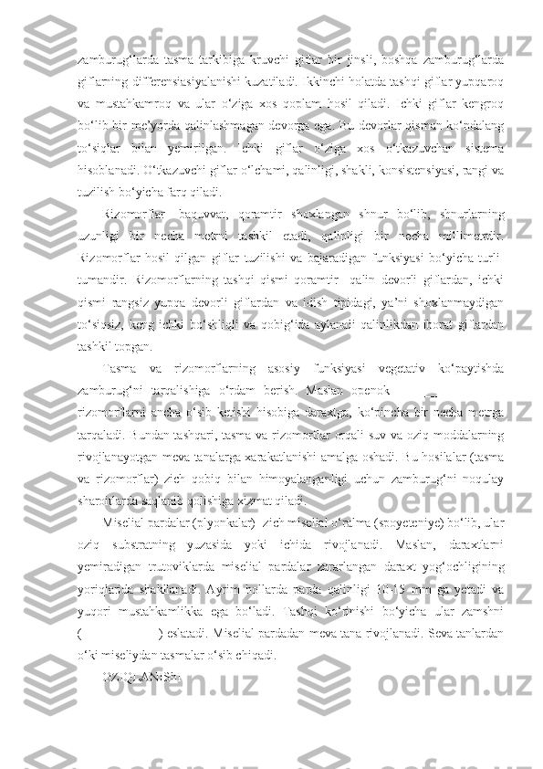 zamburug‘larda   tasma   tarkibiga   kruvchi   giflar   bir   jinsli,   boshqa   zamburug‘larda
giflarning differensiasiyalanishi kuzatiladi. Ikkinchi holatda tashqi giflar yupqaroq
va   mustahkamroq   va   ular   o‘ziga   xos   qoplam   hosil   qiladi.   Ichki   giflar   kengroq
bo‘lib bir me’yorda qalinlashmagan devorga ega. Bu devorlar qisman ko‘ndalang
to‘siqlar   bilan   yemirilgan.   Ichki   giflar   o‘ziga   xos   o‘tkazuvchan   sistema
hisoblanadi. O‘tkazuvchi giflar o‘lchami, qalinligi, shakli, konsistensiyasi, rangi va
tuzilish bo‘yicha farq qiladi.
Rizomorflar-   baquvvat,   qoramtir   shoxlangan   shnur   bo‘lib,   shnurlarning
uzunligi   bir   necha   metrni   tashkil   etadi,   qalinligi   bir   necha   millimetrdir.
Rizomorflar   hosil   qilgan   giflar   tuzilishi   va   bajaradigan   funksiyasi   bo‘yicha   turli-
tumandir.   Rizomorflarning   tashqi   qismi   qoramtir     qalin   devorli   giflardan,   ichki
qismi   rangsiz   yupqa   devorli   giflardan   va   idish   tipidagi,   ya’ni   shoxlanmaydigan
to‘siqsiz,   keng   ichki   bo‘shliqli   va   qobig‘ida   aylanali   qalinlikdan   iborat   giflardan
tashkil topgan.
Tasma   va   rizomorflarning   asosiy   funksiyasi   vegetativ   ko‘paytishda
zamburug‘ni   tarqalishiga   o‘rdam   berish.   Maslan   openok__________________
rizomorflarni   ancha   o‘sib   ketishi   hisobiga   daraxtga,   ko‘pincha   bir   necha   metrga
tarqaladi. Bundan tashqari, tasma va rizomorflar orqali suv va oziq moddalarning
rivojlanayotgan meva tanalarga xarakatlanishi amalga oshadi. Bu hosilalar (tasma
va   rizomorflar)   zich   qobiq   bilan   himoyalanganligi   uchun   zamburug‘ni   noqulay
sharoitlarda saqlanib qolishiga xizmat qiladi.
Miselial pardalar (plyonkalar)- zich miselial o‘ralma (spoyeteniye) bo‘lib, ular
oziq   substratning   yuzasida   yoki   ichida   rivojlanadi.   Maslan,   daraxtlarni
yemiradigan   trutoviklarda   miselial   pardalar   zararlangan   daraxt   yog‘ochligining
yoriqlarida   shakllanadi.   Ayrim   hollarda   parda   qalinligi   10-15   mm   ga   yetadi   va
yuqori   mustahkamlikka   ega   bo‘ladi.   Tashqi   ko‘rinishi   bo‘yicha   ular   zamshni
(____________) eslatadi. Miselial pardadan meva tana rivojlanadi. Seva tanlardan
o‘ki miseliydan tasmalar o‘sib chiqadi.
OZIQLANIShI 