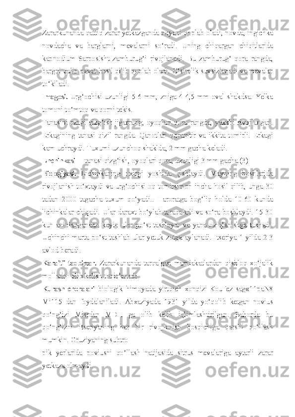 Zararkunanda qattiq zarar yetkazganda poyani qoplab oladi, novda, ingichka
novdacha   va   barglarni,   mevalarni   so‘radi.   Uning   chiqargan   chiqitlarida
kapnodium-Sarpos!sht   zamburug‘i   rivojlanadi.   Bu   zamburug‘   qora   rangda,
bargni qalin qavat hosil qilib qoplab oladi. O‘simlik suvsizlanadi va mevalar
to‘kiladi.
Imagosi.   Urg‘ochisi   uzunligi   5-6   mm,   zniga   4-4,5   mm   oval   shakdsa.   Yelka
tomoni to‘mtoq va qorni tekis.
Tanasini   rangi   qizg‘ish-jigarrang;   oyoqlari   qora   rangda,   yaxshi   rivojlangan.
Erkagining   tanasi   qizil   rangda.   Qanotlari   qoramtir   va   ikkita   tomirli.   Erkagi
kam uchraydi. Tuxumi uzunchoq shaklda, 2 mm gacha keladi.
Lnchinkasi  —tanasi qizg‘ish, oyoqlari qora, uzunligi 3 mm gacha.(3)
Biologiyasi.   Lichinkaning   oxirgi   yoshida   qishlaydi.   Mayning   boshlarida
rivojlanish to‘xtaydi va urg‘ochisi oq tomirsimon incha hosil qilib, unga 30
tadan   2000   tagacha   tuxum   qo‘yadi..   Haroratga   bog‘liq   holda   10-60   kunda
lichinkalar chiqadi. Ular daraxt bo‘ylab taraqaladi va so‘ra boshlaydi. 15-30
kun   aniqlangandan   keyin   ular   po‘st   tashlaydi   va   yana   oziqlanishga   tushadi.
Uchinchi  marta  po‘st  tashlab  ular  yetuk  zotga  aylanadi.  Itseriya  1  yilda  2-3
avlod beradi.
Karaitii tadbirlar.   Zararkunanda   tarqalgan   mamlakatlardan   qishloq   xo‘jalik
mollarini olib kelish taqiqlanadi.
Kurash   choralari   biologik   himoyada   yirtqich   xonqizi-Kou]'ez   sag«11paN8
Mi115   dan   foydalaniladi.   Abxaziyada   1931   yilda   yo‘qolib   ketgan   novius
qo‘ng‘izi   Misrdan   MDH   ga   olib   kelib   iqlimlashtirilgan.   Bahorda   bu
qo‘ng‘izni   itseriyaning   har   bir   rivojlanish   bosqichiga   qarshi   qo‘llash
mumkin. Gruziyaning subtro-
pik   yerlarida   poviusni   qo‘llash   natijasida   sitrus   mevalariga   aytarli   zarar
yetkaza olmaydi. 