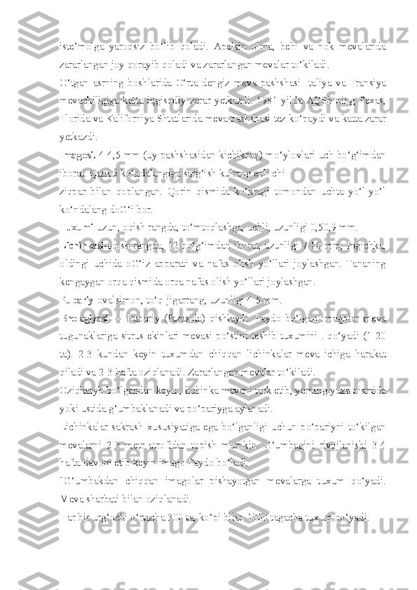 iste’molga   yaroqsiz   bo‘lib   qoladi.   Apelsin   olma,   behi   va   nok   mevalarida
zararlangan joy qorayib qoladi va zararlangan mevalar to‘kiladi.
O‘tgan   asrning   boshlarida   O‘rta   dengiz   meva   pashshasi   Italiya   va   Fransiya
mevachiligiga   katta   iqgisodiy   zarar   yetkazdi.   1981  yilda   AQSh  ning   Texas,
Florida va Kaliforniya Shtatlarida meva pashshasi tez ko‘paydi va katta zarar
yetkazdi.
Imagosi.  4-4,5 mm (uy pashshasidan kichikroq) mo‘ylovlari uch bo‘g‘imdan
iborat. Qanoti ko‘ndalangiga sarg‘ish kulrang enli chi-
ziqpar   bilan   qoplangan.   Qorin   qismida   ko‘kragi   tomondan   uchta   yo‘l-yo‘l
ko‘ndalang doG‘i bor.
Tuxumi -uzun, oqish rangda, to‘mtoqlashga, uchli, uzunligi 0,50,9 mm.
Lichinkasi -oqish rangda, 12 bo‘g‘imdan iborat, uzunligi 7-10 mm, Ingichka,
oldingi   uchida   oG‘iz   apparati   va   nafas   olish   yo‘llari   joylashgan.   Tananing
kengaygan orqa qismida orqa nafas olish yo‘llari joylashgan.
Pupariy -ovalsimon, to‘q-jigarrang, uzunligi 4-5 mm.
Bnologiyasi   —   Pupariy   (fazasida)   qishlaydi.   Paydo   bo‘lgan   imagolar   meva
tugunaklariga sitrus ekinlari mevasi po‘stini teshib tuxumini . qo‘yadi (1-20
ta).   2-3   kundan   keyin   tuxumdan   chiqqan   lichinkalar   meva   ichiga   harakat
qiladi va 2-3 hafta oziqlanadi. Zararlangan mevalar to‘kiladi.
Oziqlanyb bo‘lgandan keyin, lichinka mevani tark etib, yerning yuza qismida
yoki ustida g‘umbaklanadi va po‘pariyga aylanadi.
Lichinkalar  sakrash  xususiyatiga  ega  bo‘lganligi  uchun  po‘pariyni  to‘kilgan
mevalarni   2-3   metr   atrofidan   topish   mumkin.   G‘umbagini   rivojlanishi   3-4
hafta davom etib keyin imago Paydo bo‘ladi.
"G‘umbakdan   chiqqan   imagolar   pishayotgan   mevalarga   tuxum   qo‘yadi.
Meva sharbati bilan oziqlanadi.
Har bir urg‘ochi o‘rtacha 300 ta, ko‘pi bilan 1000 tagacha tuxum qo‘yadi. 