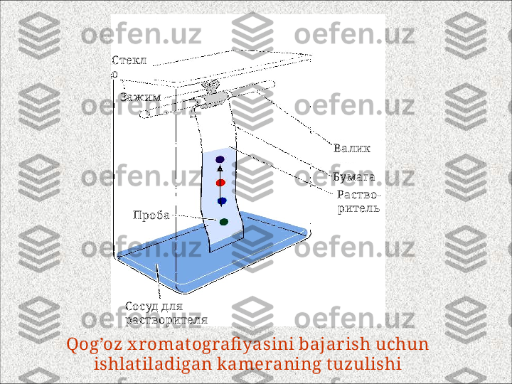 Qog’oz x r omat ografi yasini bajar ish uchun 
ishlat iladigan kameraning tuzulishi С текл
о
Зажим
Проба
С осуд для  
растворителя Валик
Бум ага
Раство-
ритель 