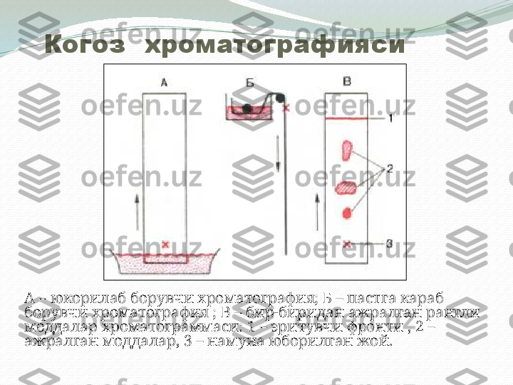 А – юкорилаб борувчи хроматография; Б – пастга караб 
борувчи хроматография   ; В – бир-биридан ажралган рангли 
моддалар хроматограммаси: 1 – эритувчи фронти , 2 – 
ажралган моддалар, 3 – намуна юборилган жой. Когоз  хроматографияси 