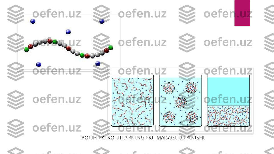 POLIELEKTROLITLARNING ERITMADAGI KO’RINISHI    