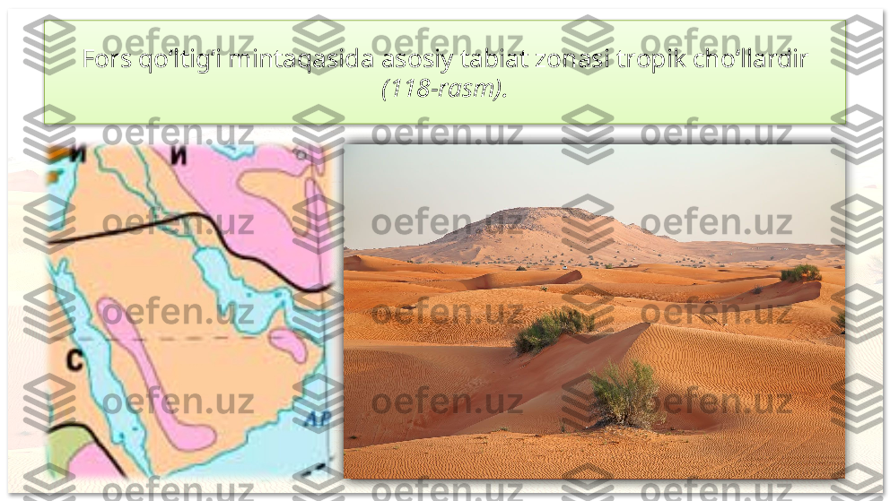 Fors qo‘ltig‘i mintaqasida asosiy  tabiat zonasi tropik cho‘llardir 
(118-rasm).
Quruq tropik     