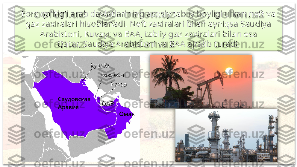 Fors qo‘ltig‘i arab davlatlarining asosiy tabiiy boyligi ulkan neft va 
gaz zaxiralari hisoblanadi. Neft zaxiralari bilan ayniqsa Saudiya 
Arabistoni, Kuvayt va BAA, tabiiy gaz zaxiralari bilan esa
Qatar, Saudiya Arabistoni va BAA ajralib turadi.     