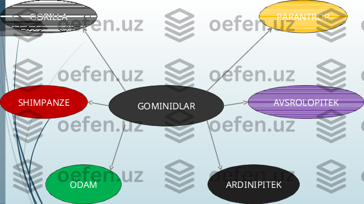 GOMINIDLARGORILLA
SHIMPANZE
ODAM PARANTROP
AVSROLOPITEK
ARDINIPITEK             